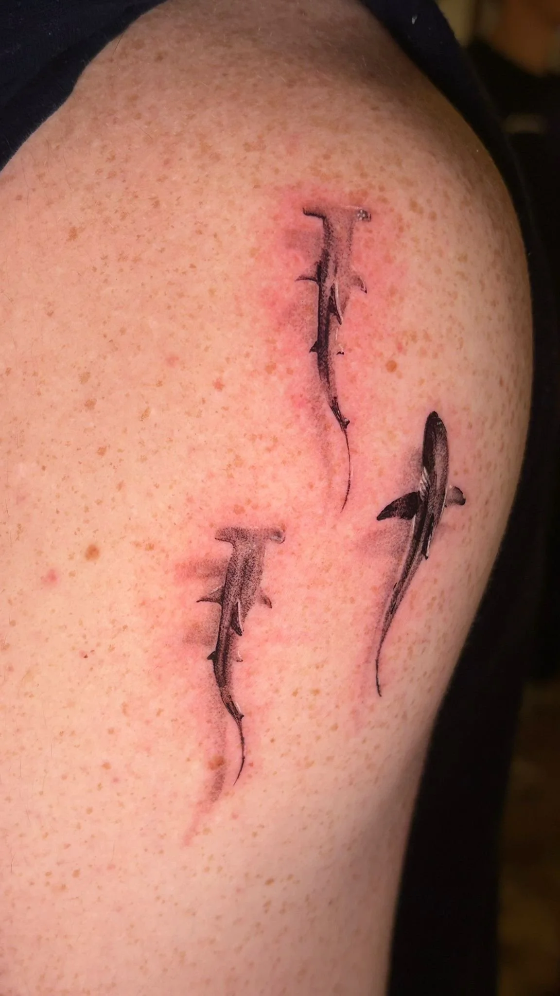 WhatsApp Image 2025-12-19 at 10.59.05.jpeg