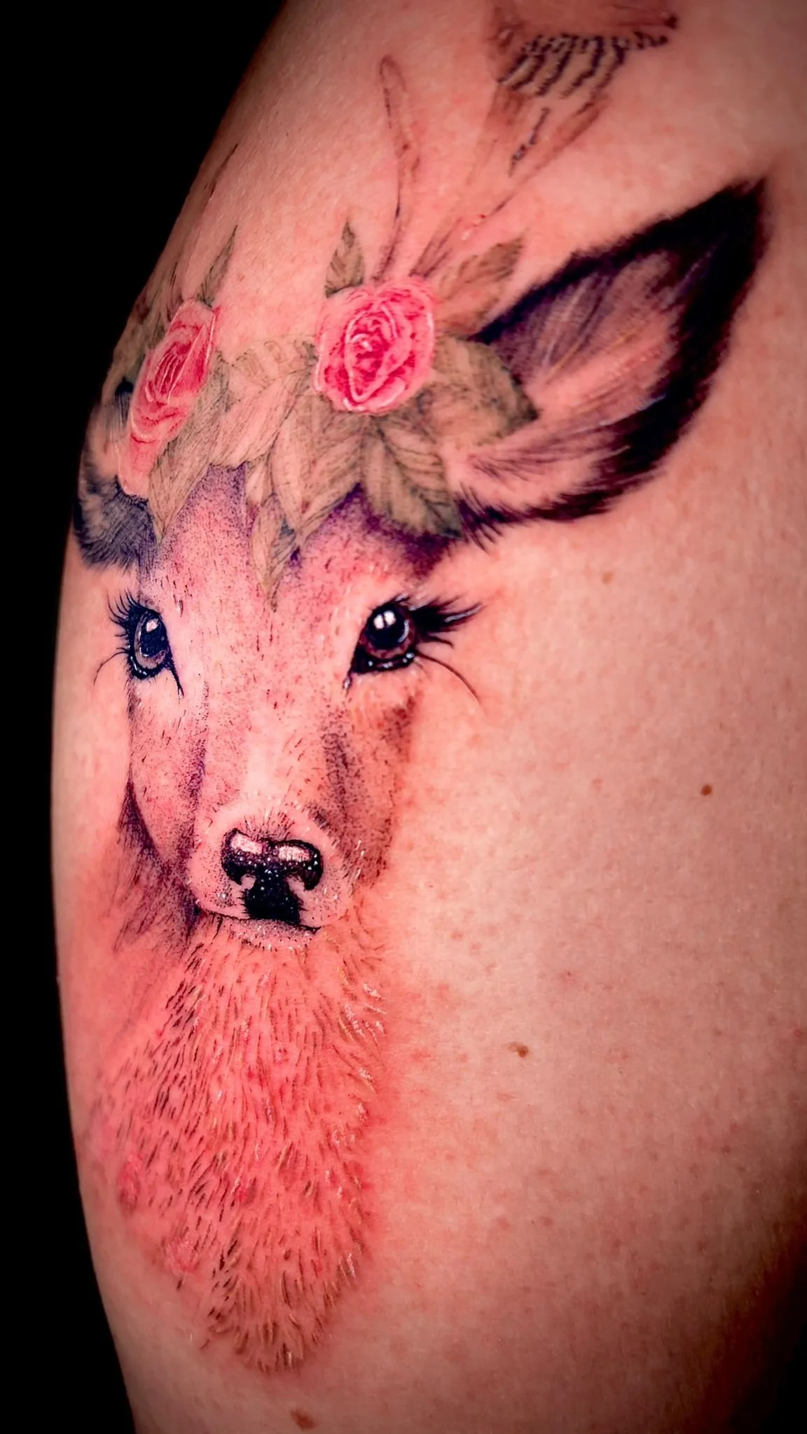 WhatsApp Image 2025-12-19 at 10.53.59 (1).jpeg