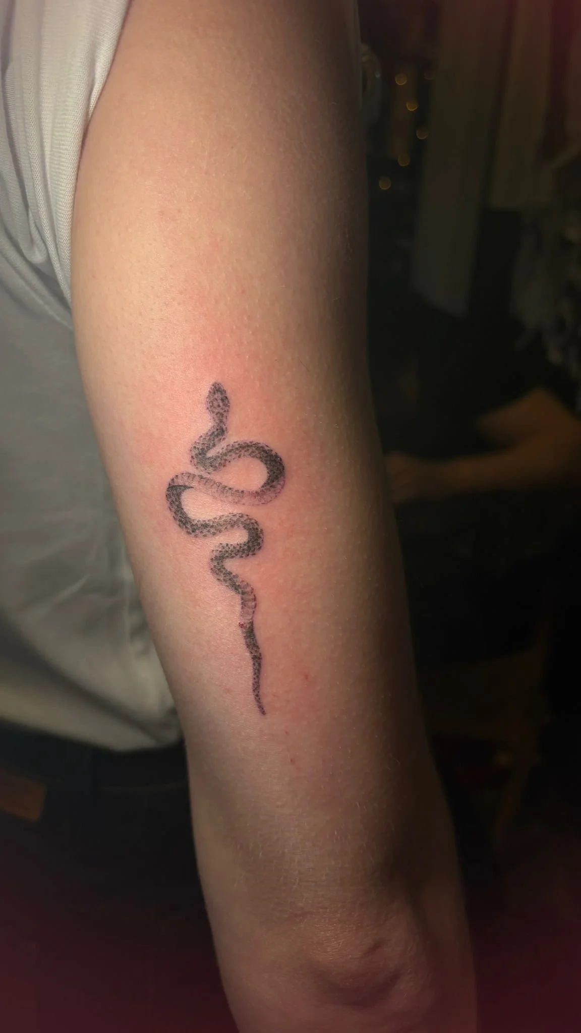 WhatsApp Image 2025-12-19 at 10.51.16 (4).jpeg