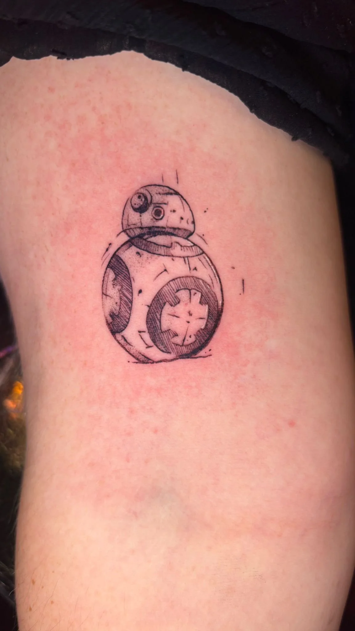 WhatsApp Image 2025-12-19 at 10.56.46 (3).jpeg