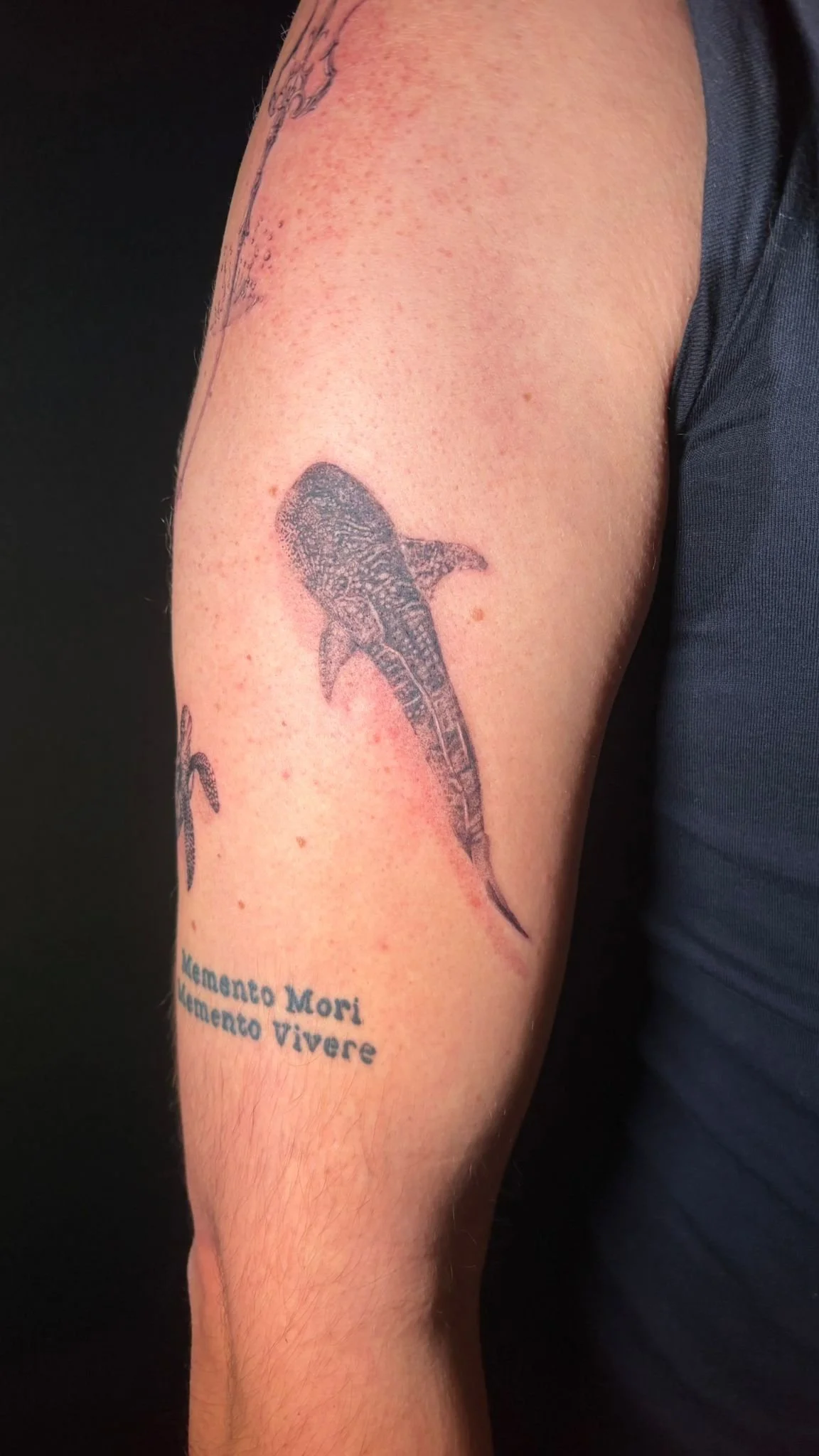 WhatsApp Image 2025-12-19 at 10.56.45 (1).jpeg