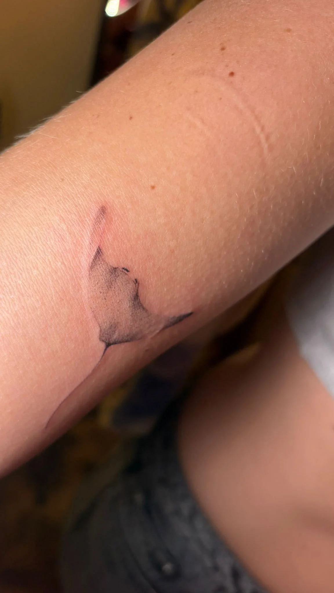 WhatsApp Image 2025-12-19 at 10.54.58 (3).jpeg