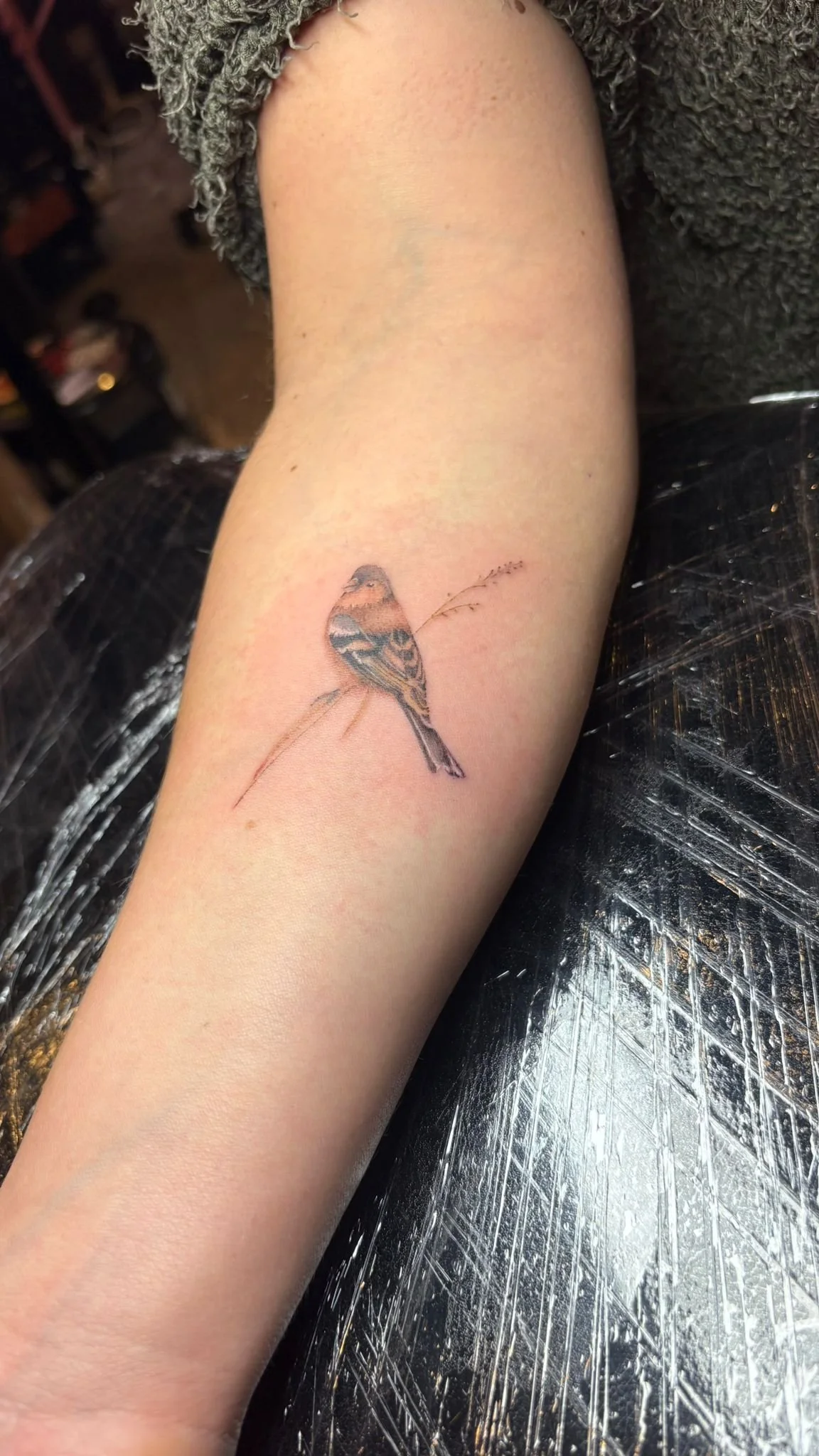 WhatsApp Image 2025-12-19 at 10.56.45 (4).jpeg