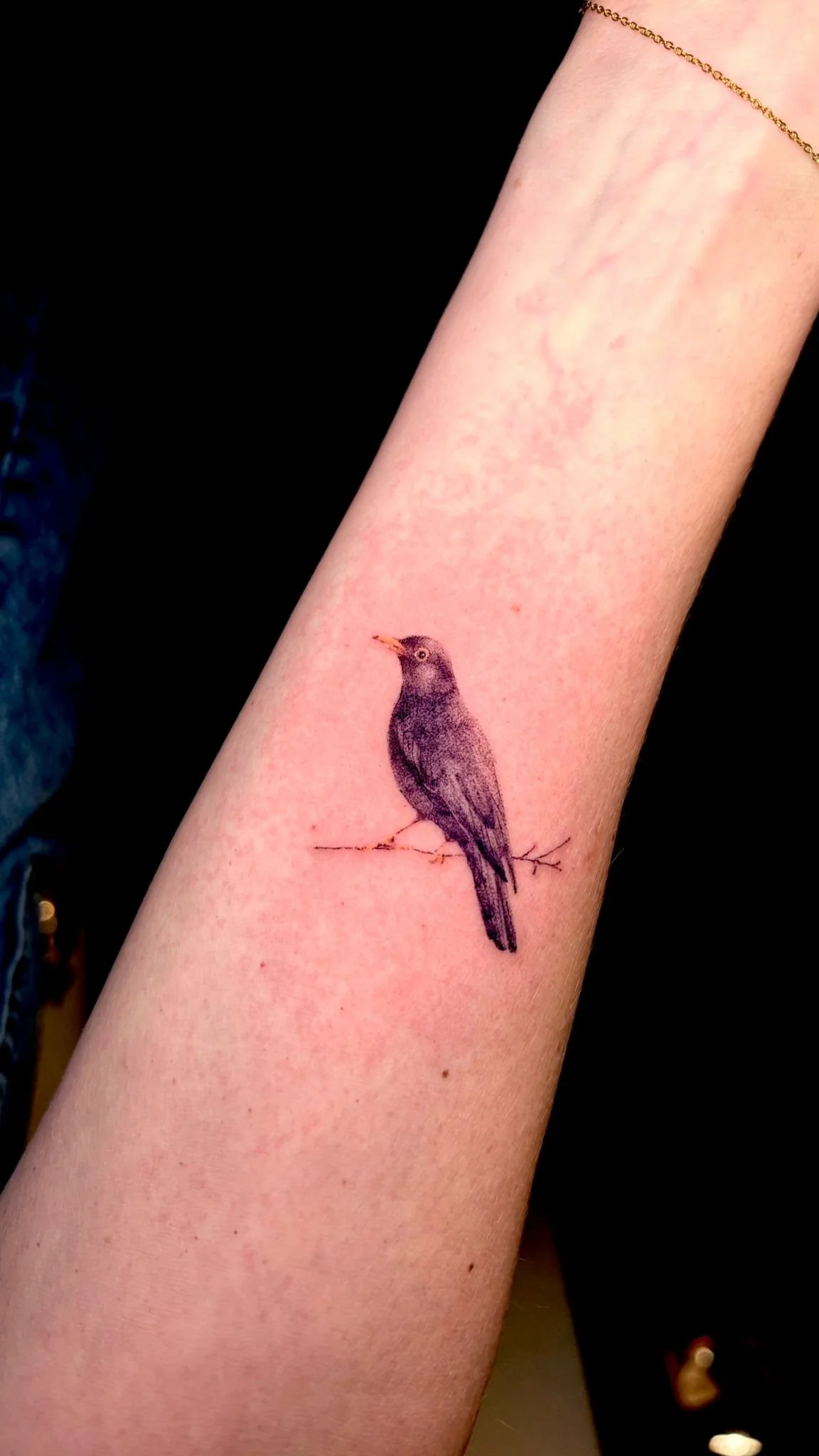 WhatsApp Image 2025-12-19 at 10.57.47 (1).jpeg