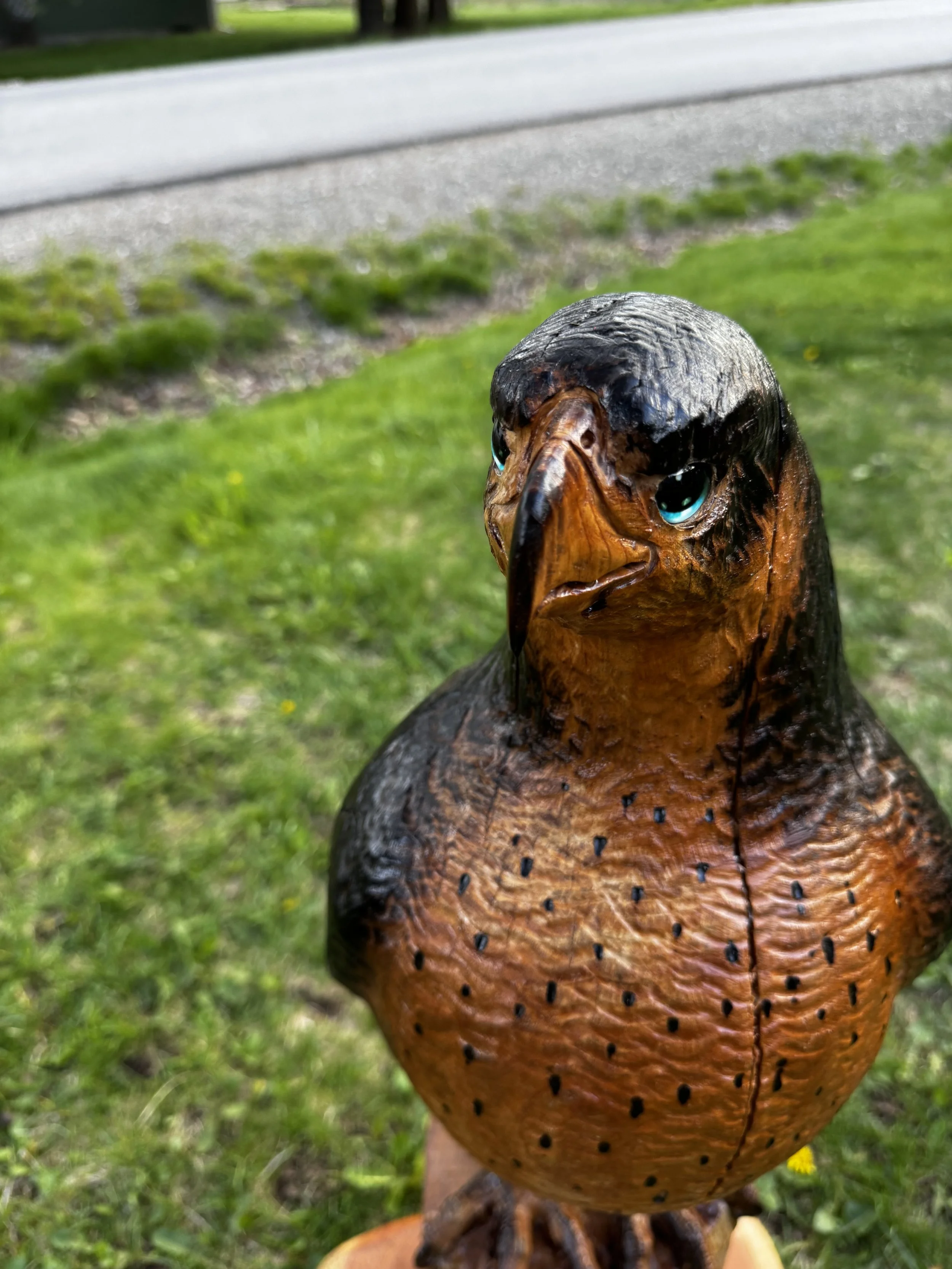IMG_0011.jpeg