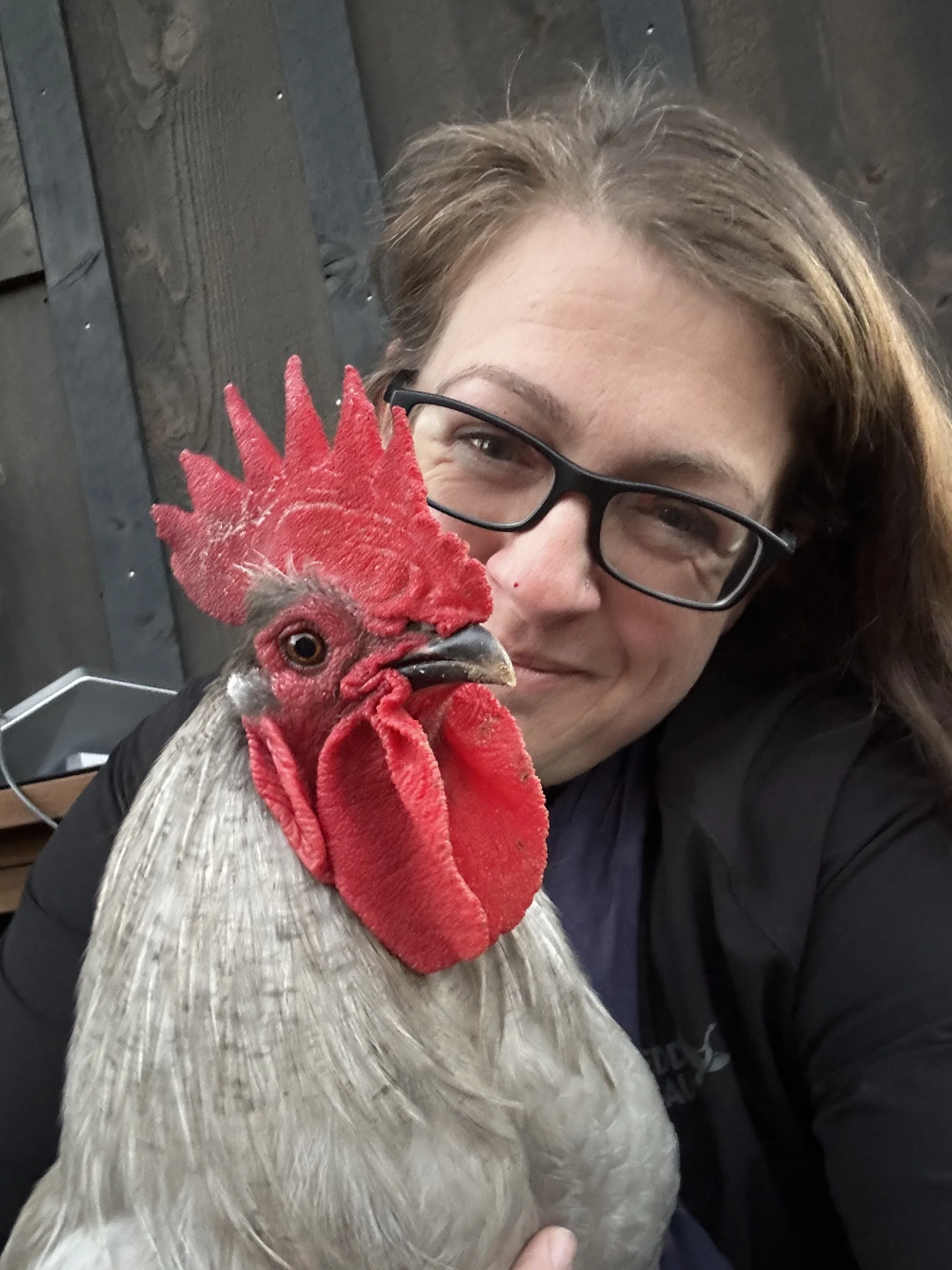 Roots & Ramble — Feathers and All the Real Stuff