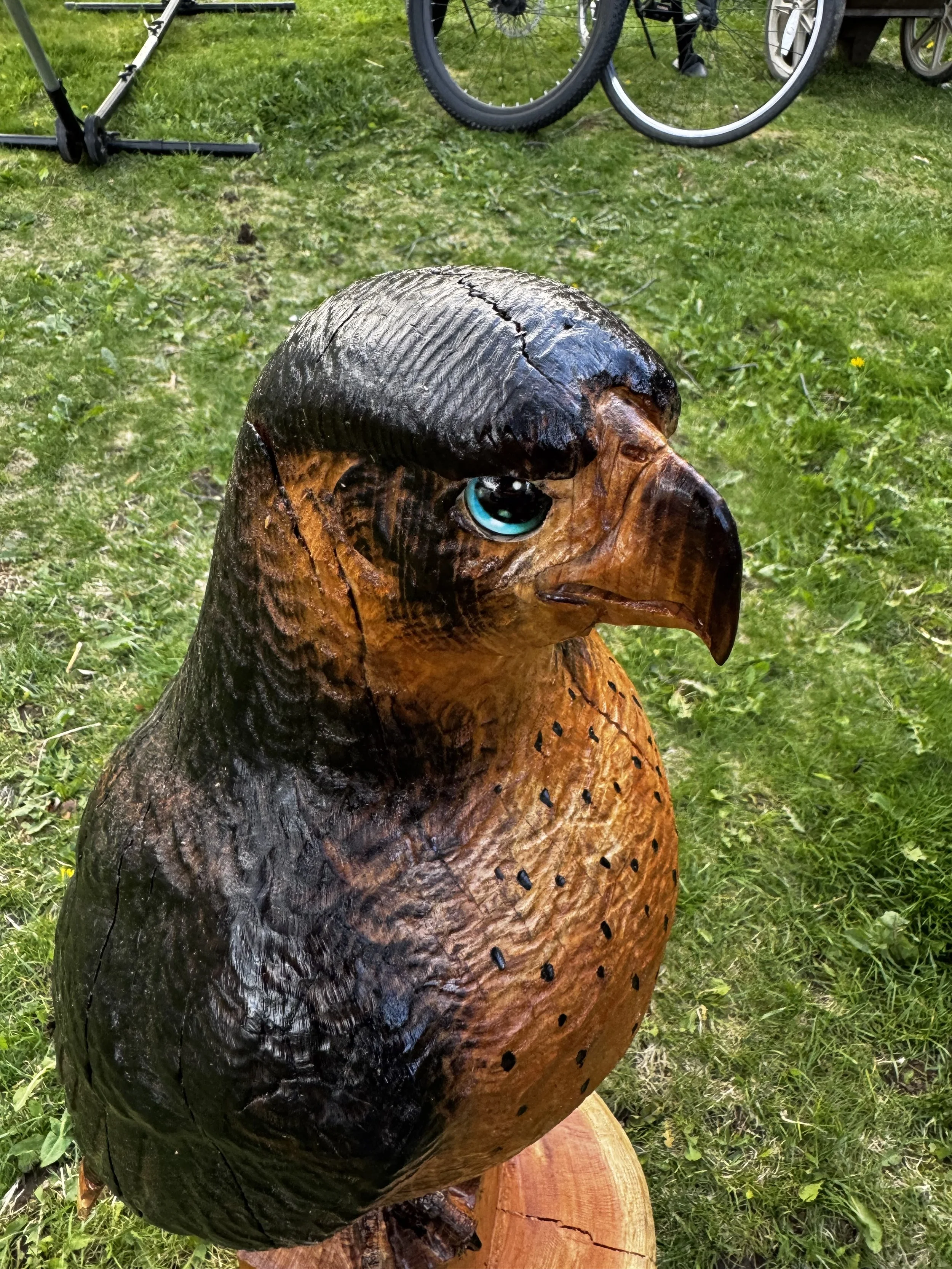 IMG_0010.jpeg