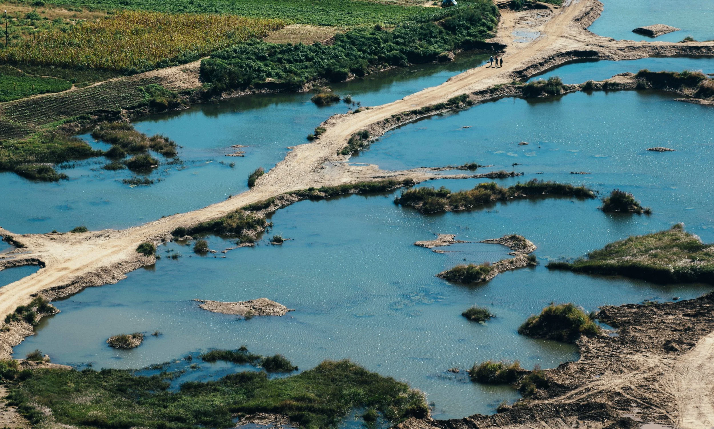 Why Owning the Cure is the Next Major Economic Engine