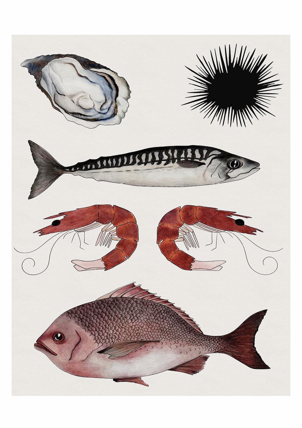 studiocecilia seafood 3.jpg
