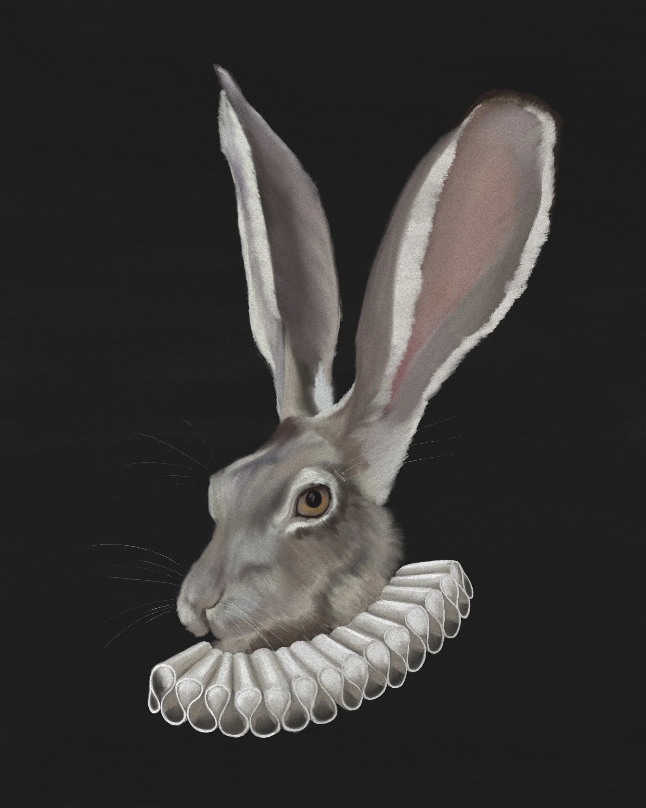 rabbit cecilia jarneteg.jpg