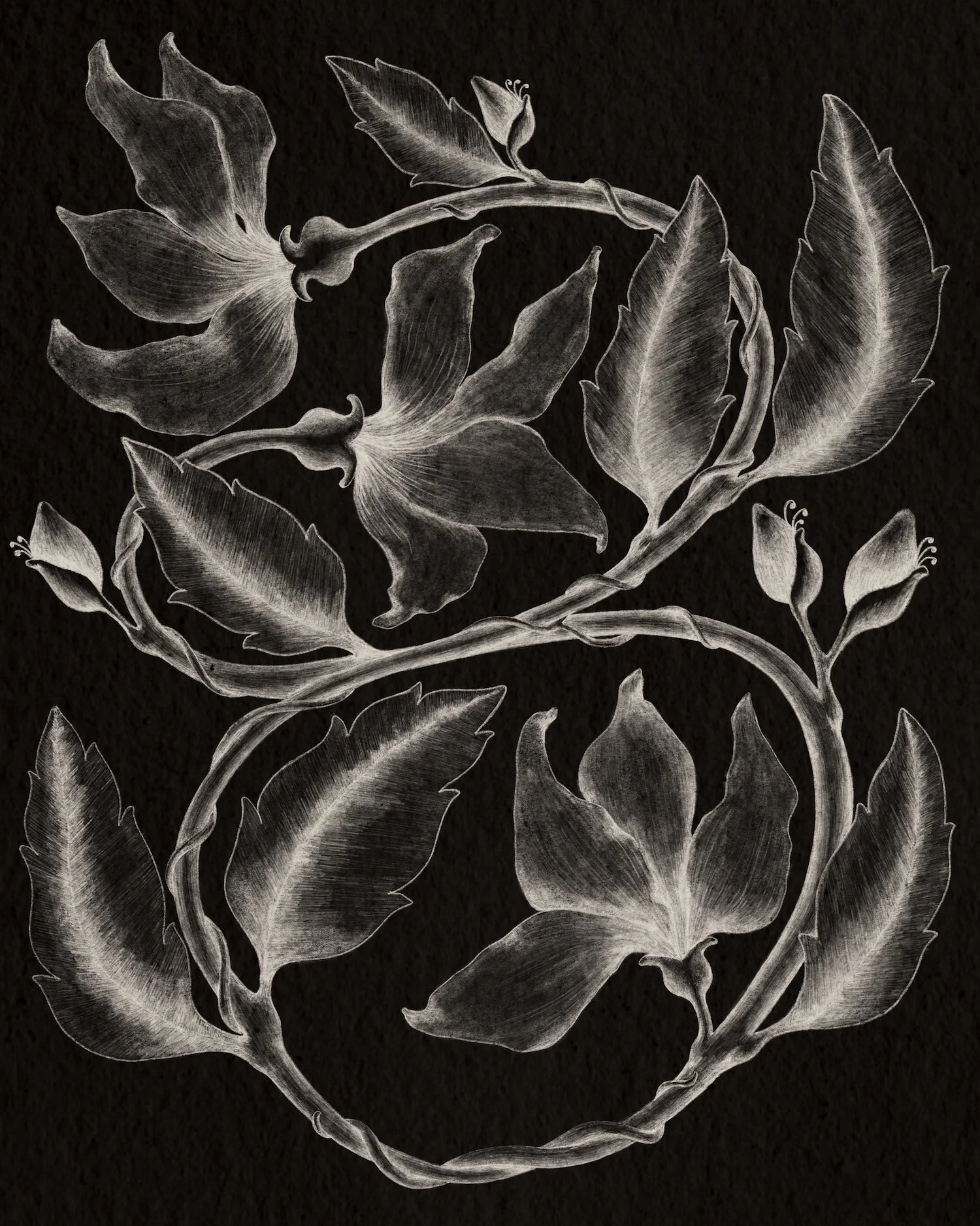 black florals studiocecilia .jpeg