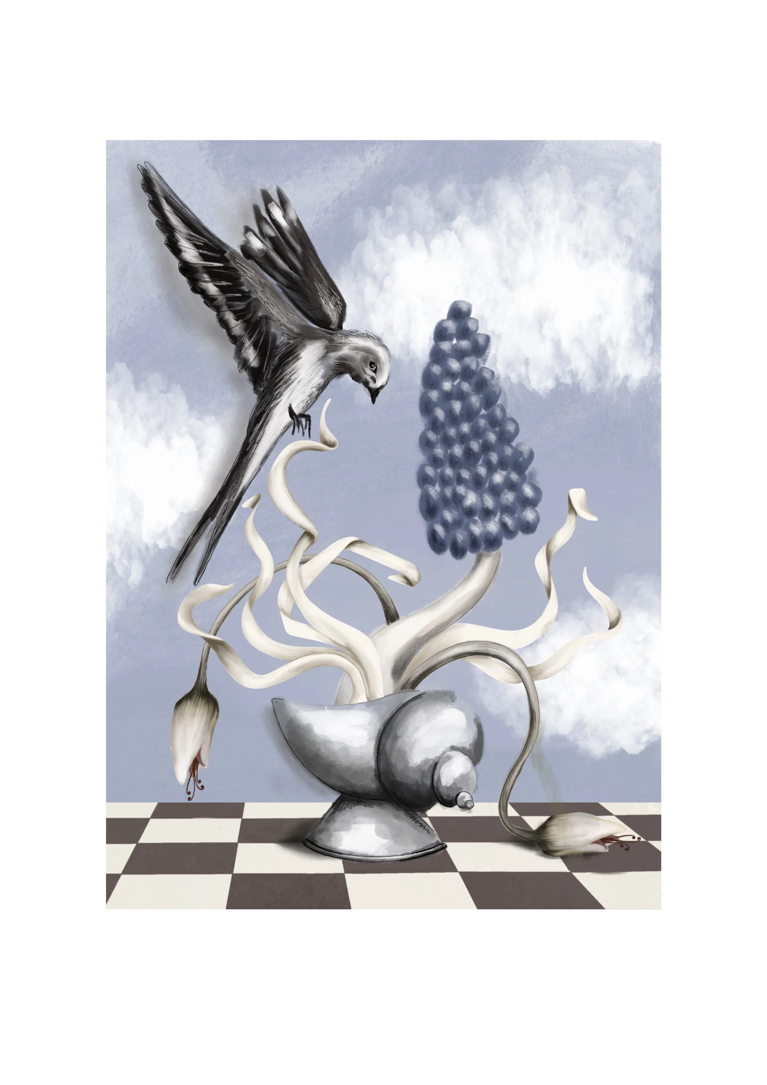 Studiocecilia bird.jpeg