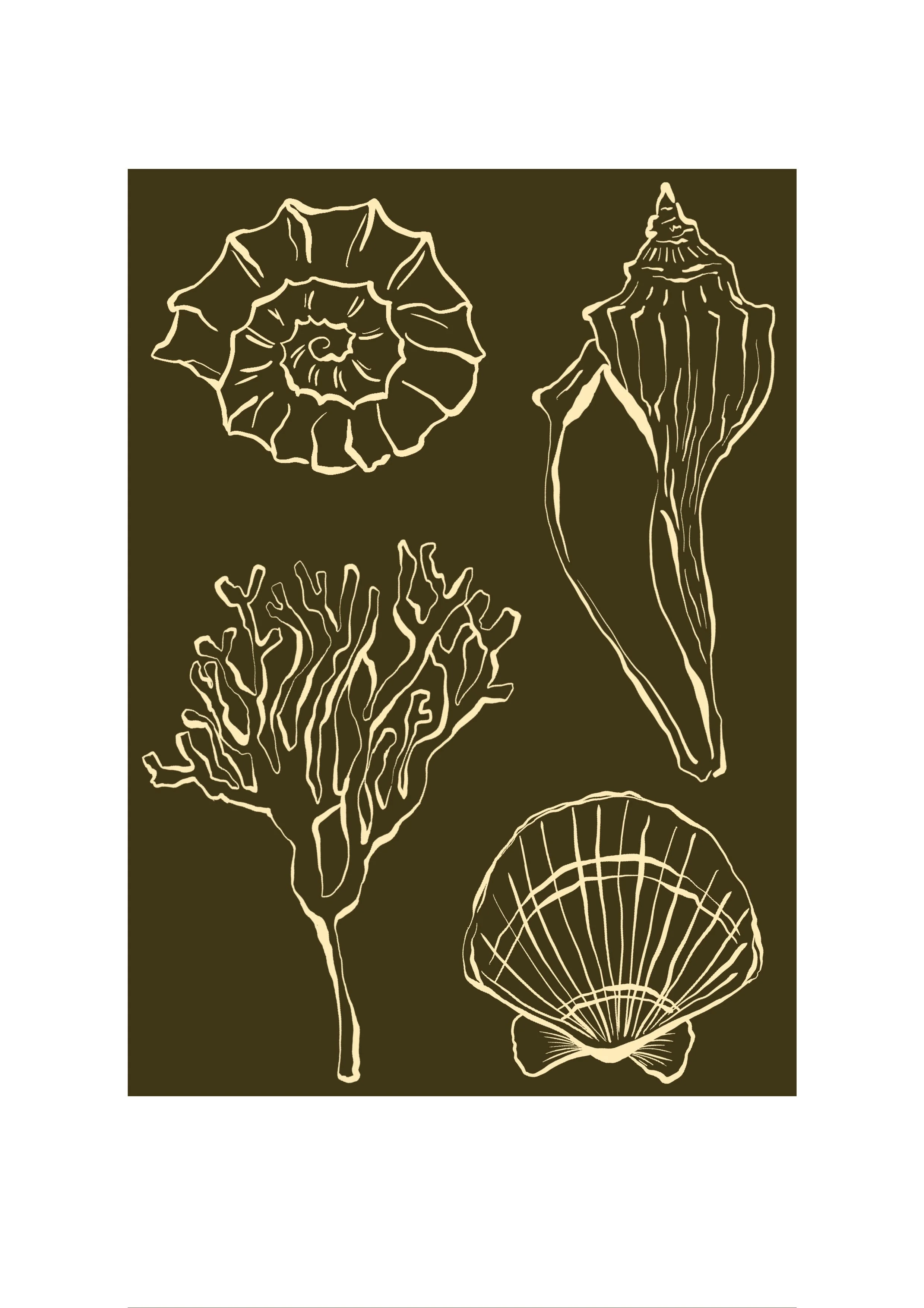 Studiocecilia san rucco 2.jpeg