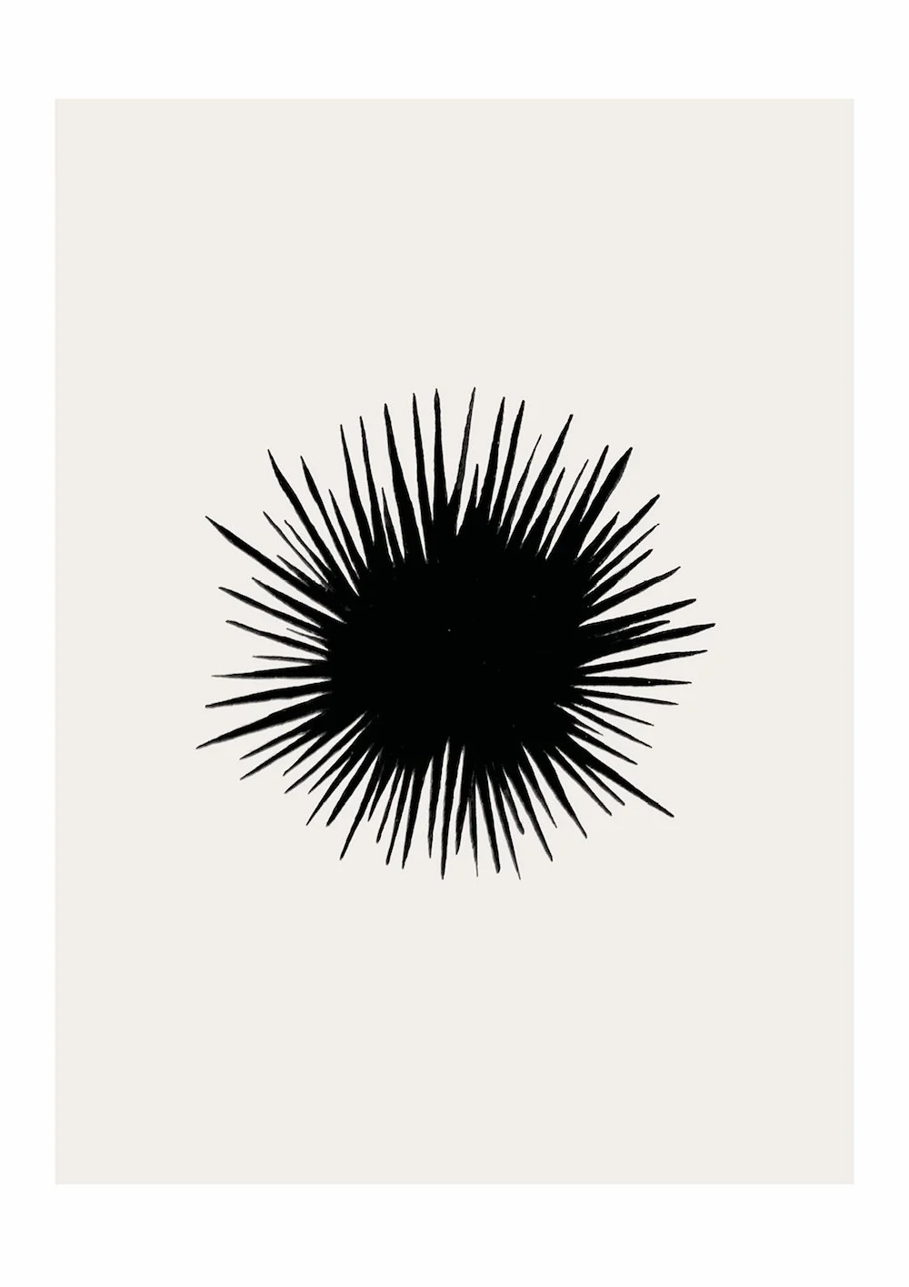 studiocecilia seafood 2.jpg