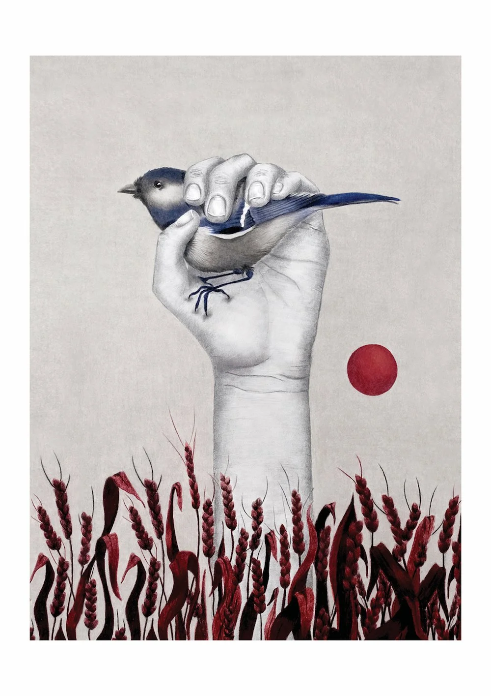 Studiocecilia hands 3.jpg