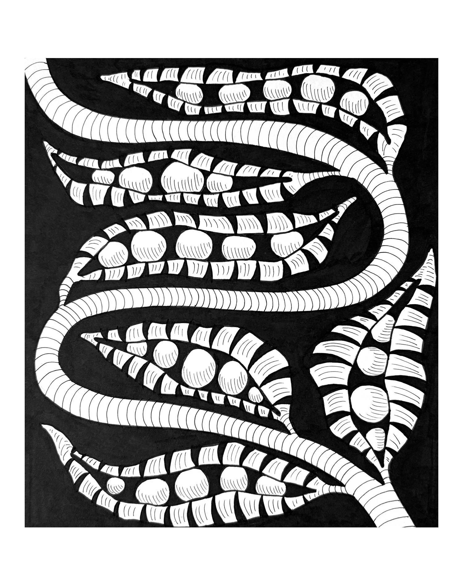 Studiocecilia floral 3.jpg