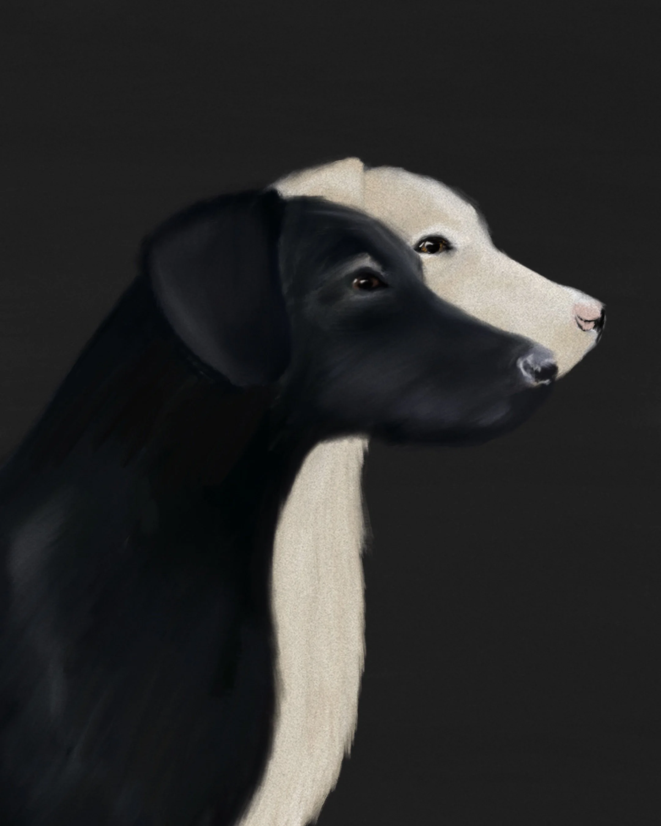 dogs cecilia jarneteg.jpg