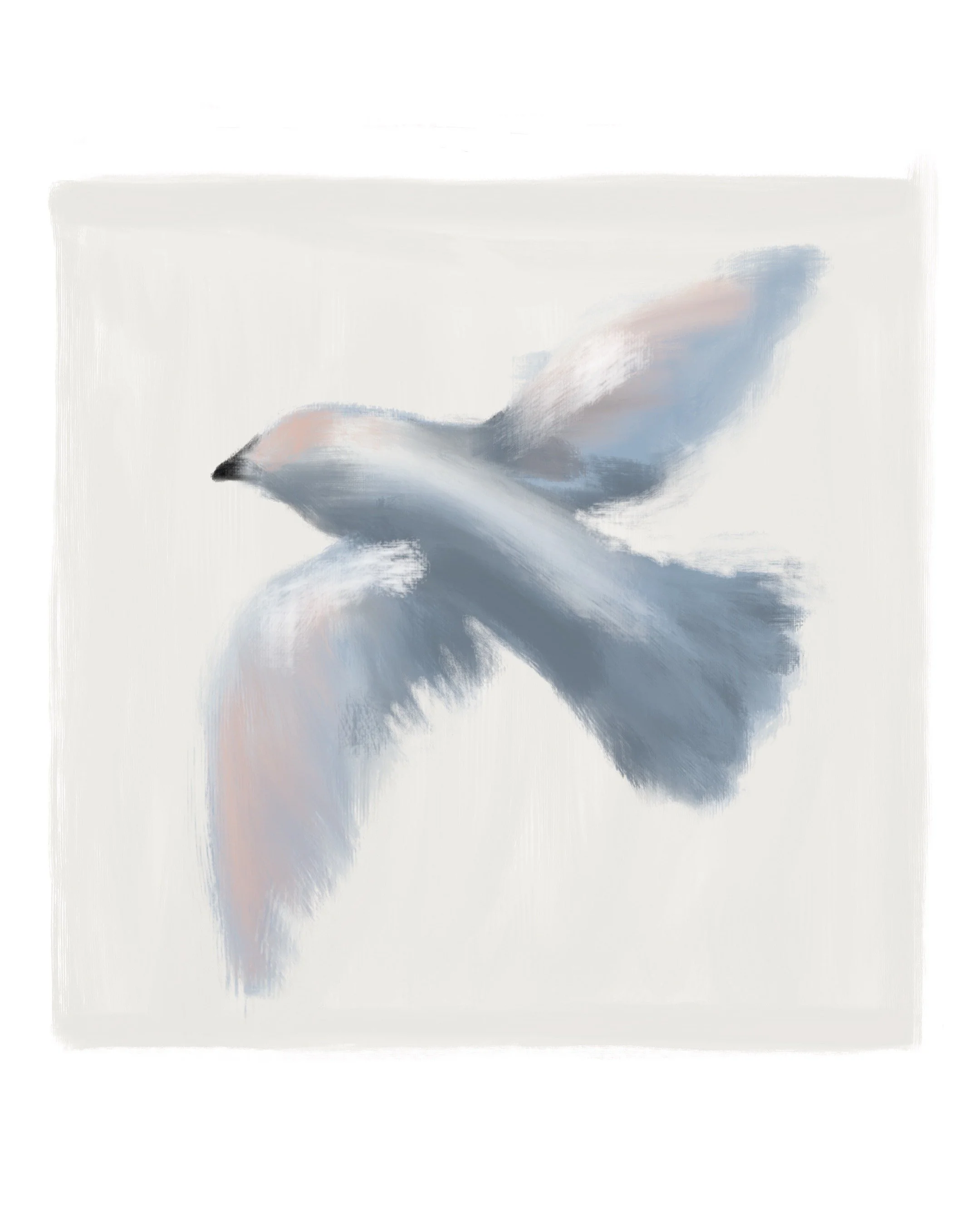 Studiocecilia birds 1.jpeg