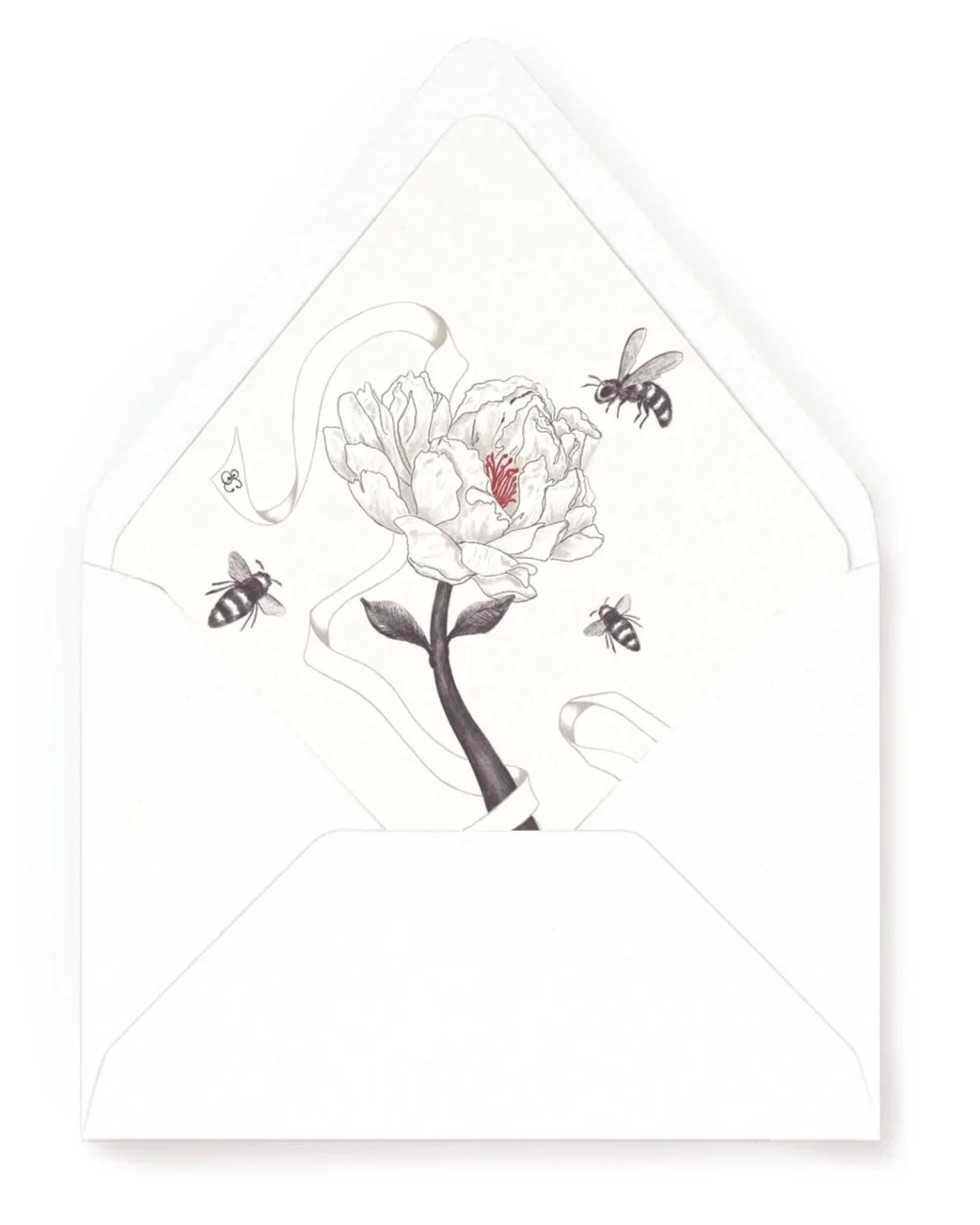 Studiocecilia contact.jpg