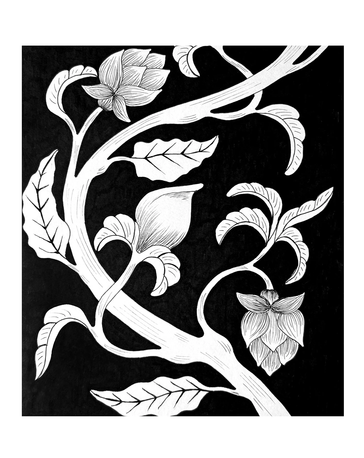 Studiocecilia floral 2.jpg