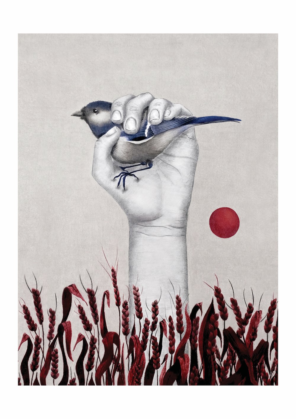 Studiocecilia hands 3.jpg