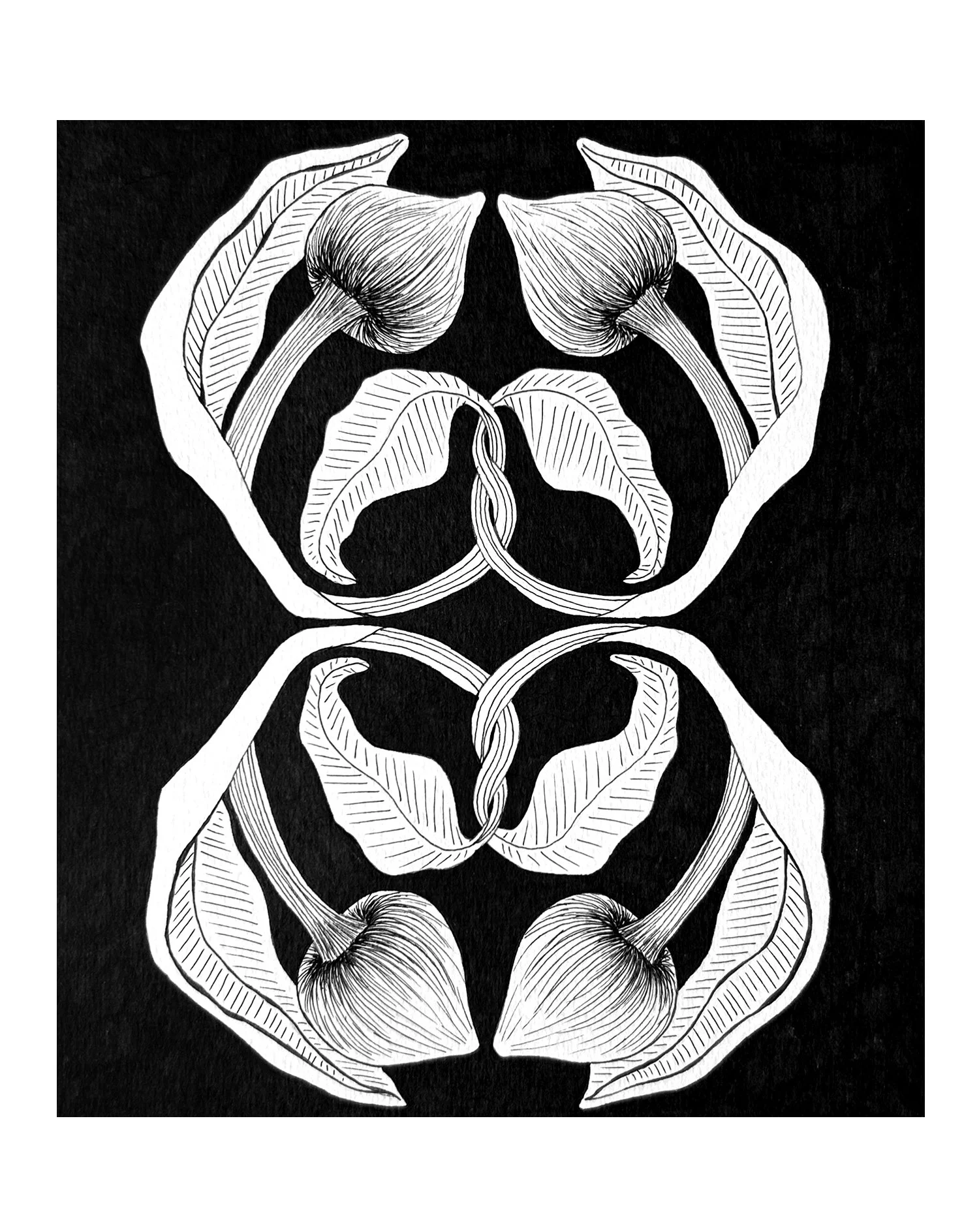 Studiocecilia floral 1.jpg