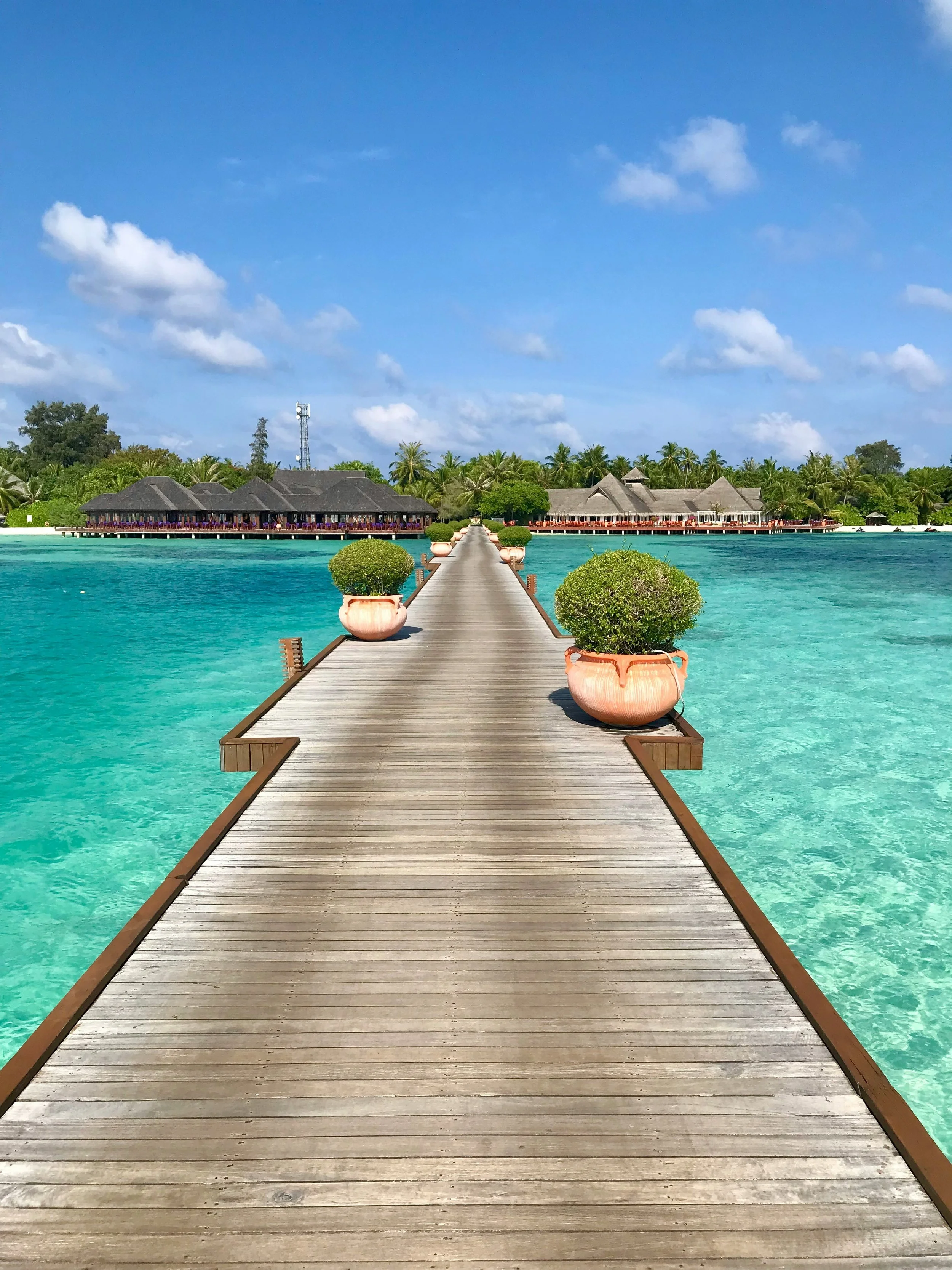 A wooden pier extending over clear turquoise water, lined with large pink pots with green bushes, leading to overwater bavilions with thatched roofs, set against a lush tropical backdrop with palm trees and a blue sky with scattered clouds.