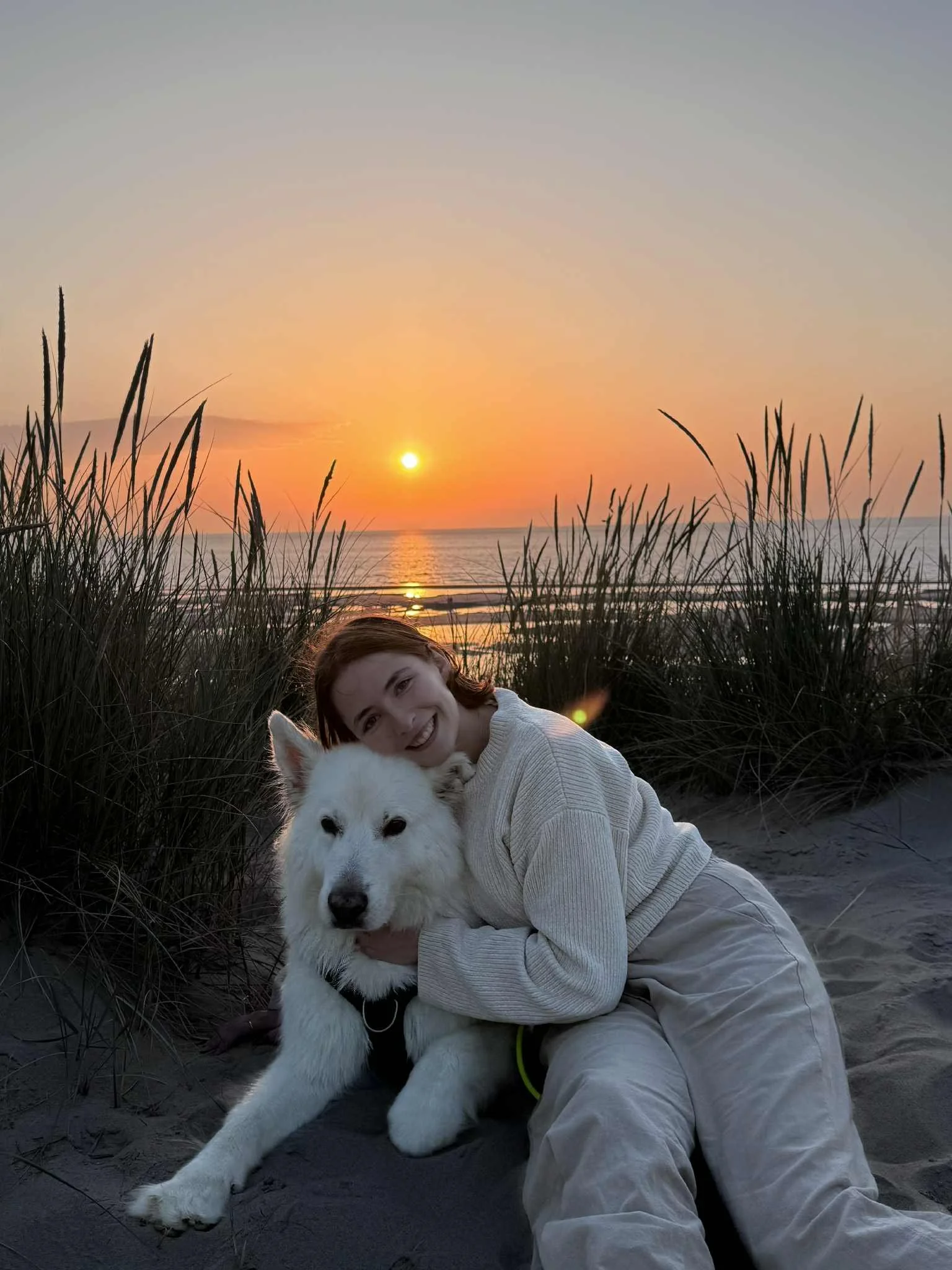 examengerichte bijlesgevier die dier vasthoudt