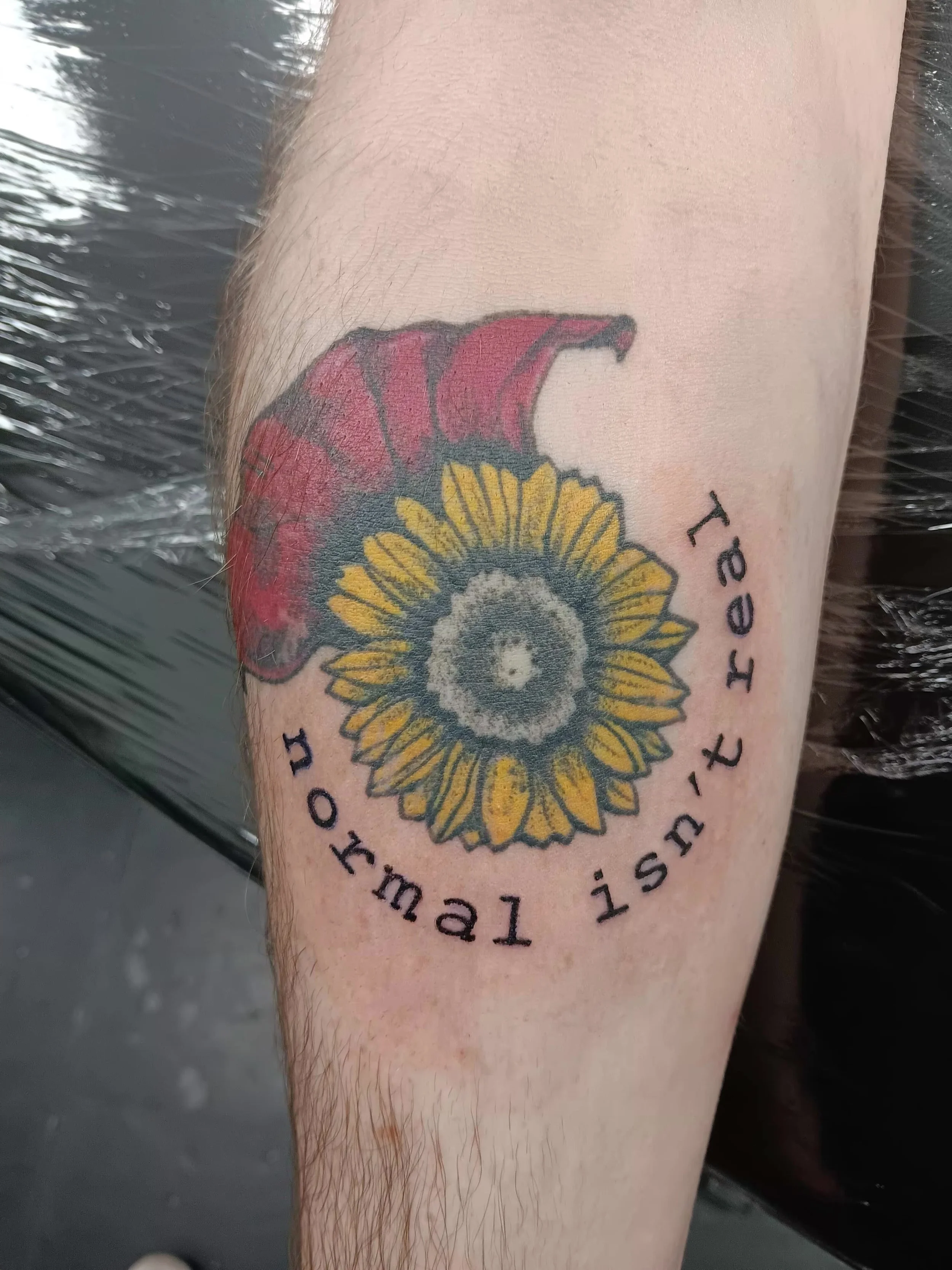 Sunflower healed