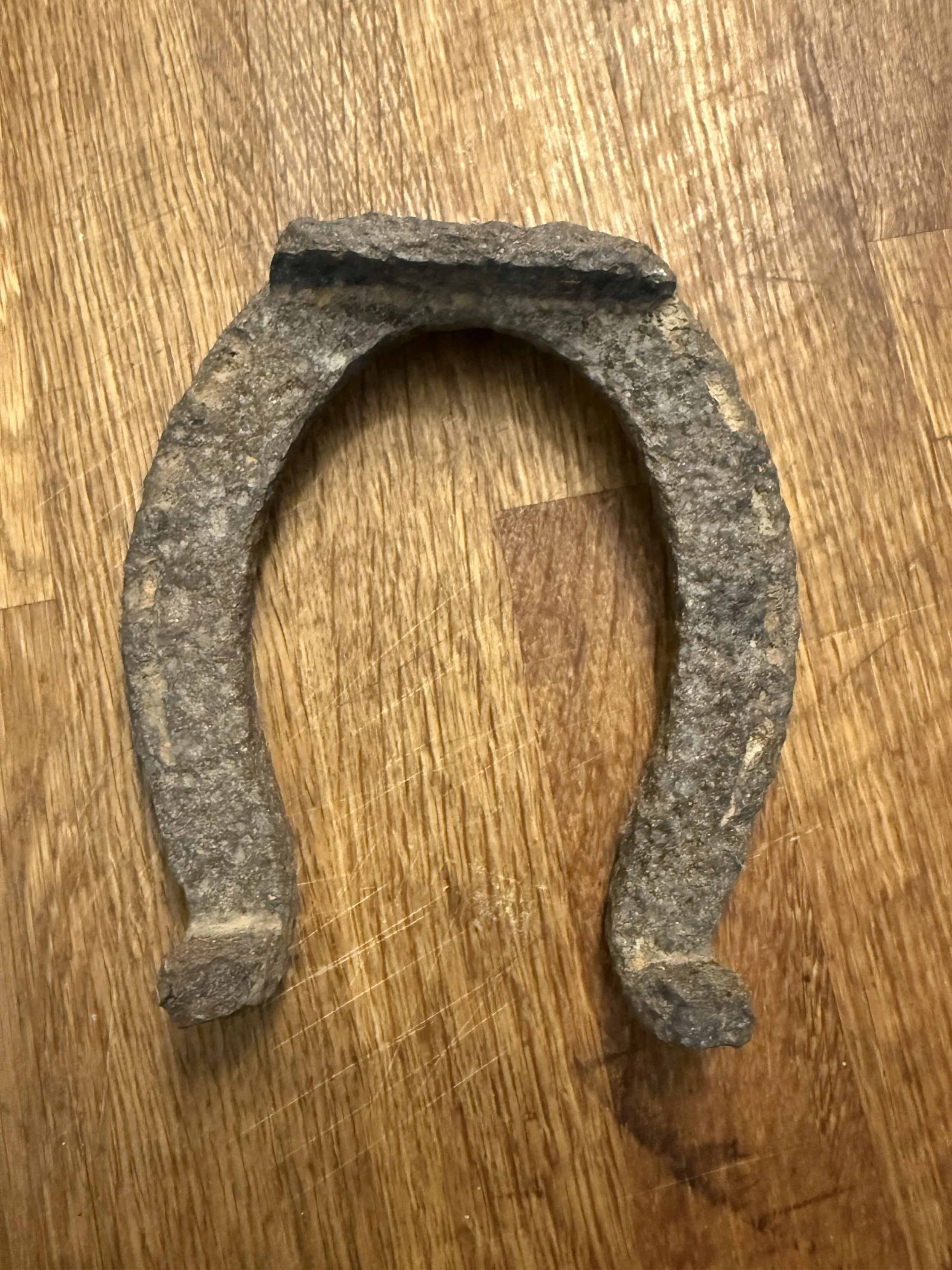 A rusty horseshoe on a wooden surface.