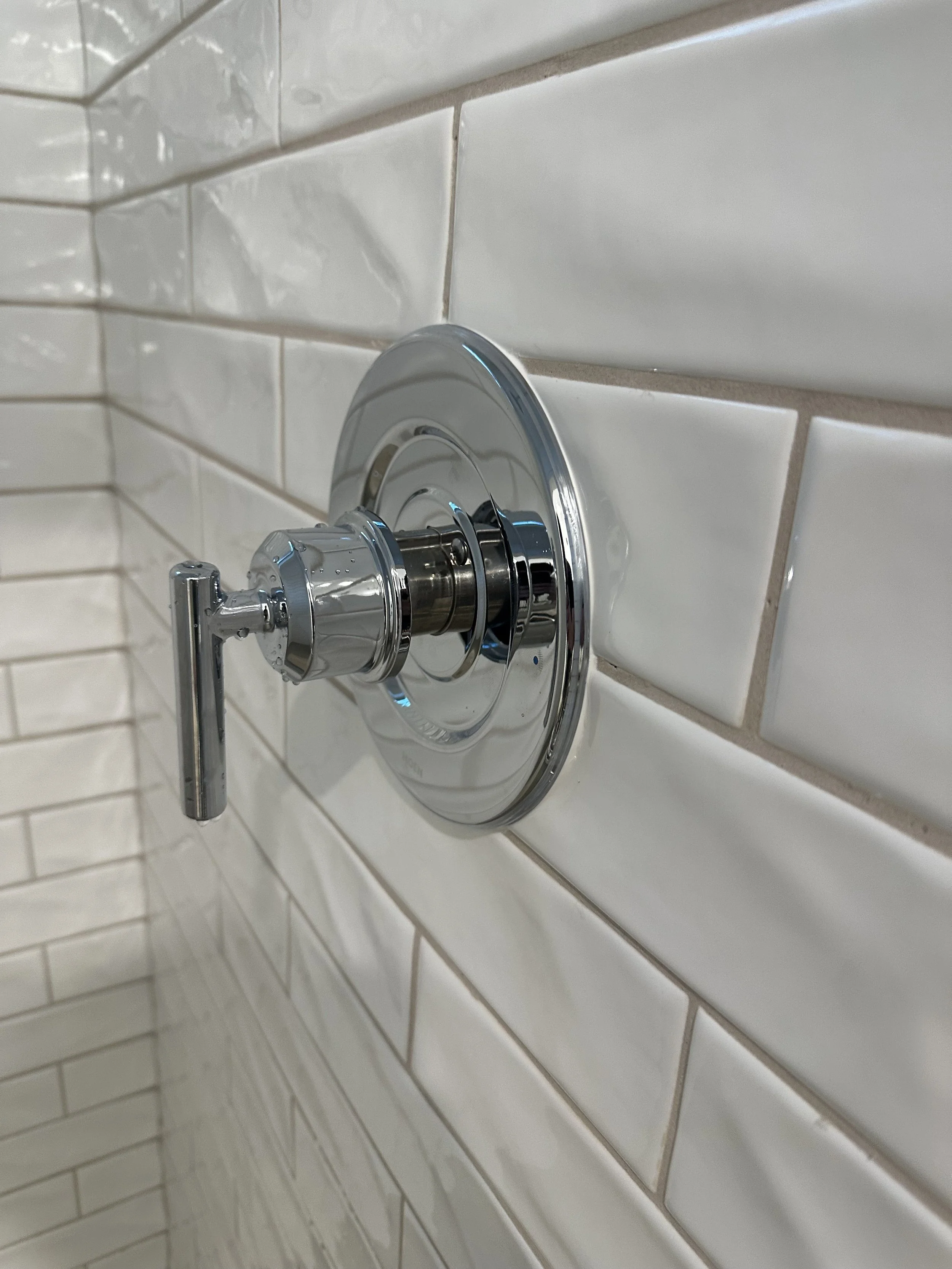 Shower Handle
