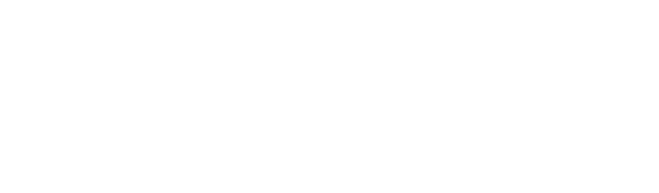 Ledger &amp; Strategy  
