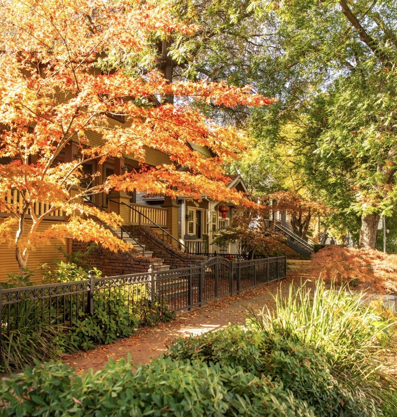 Fall Around Sacramento