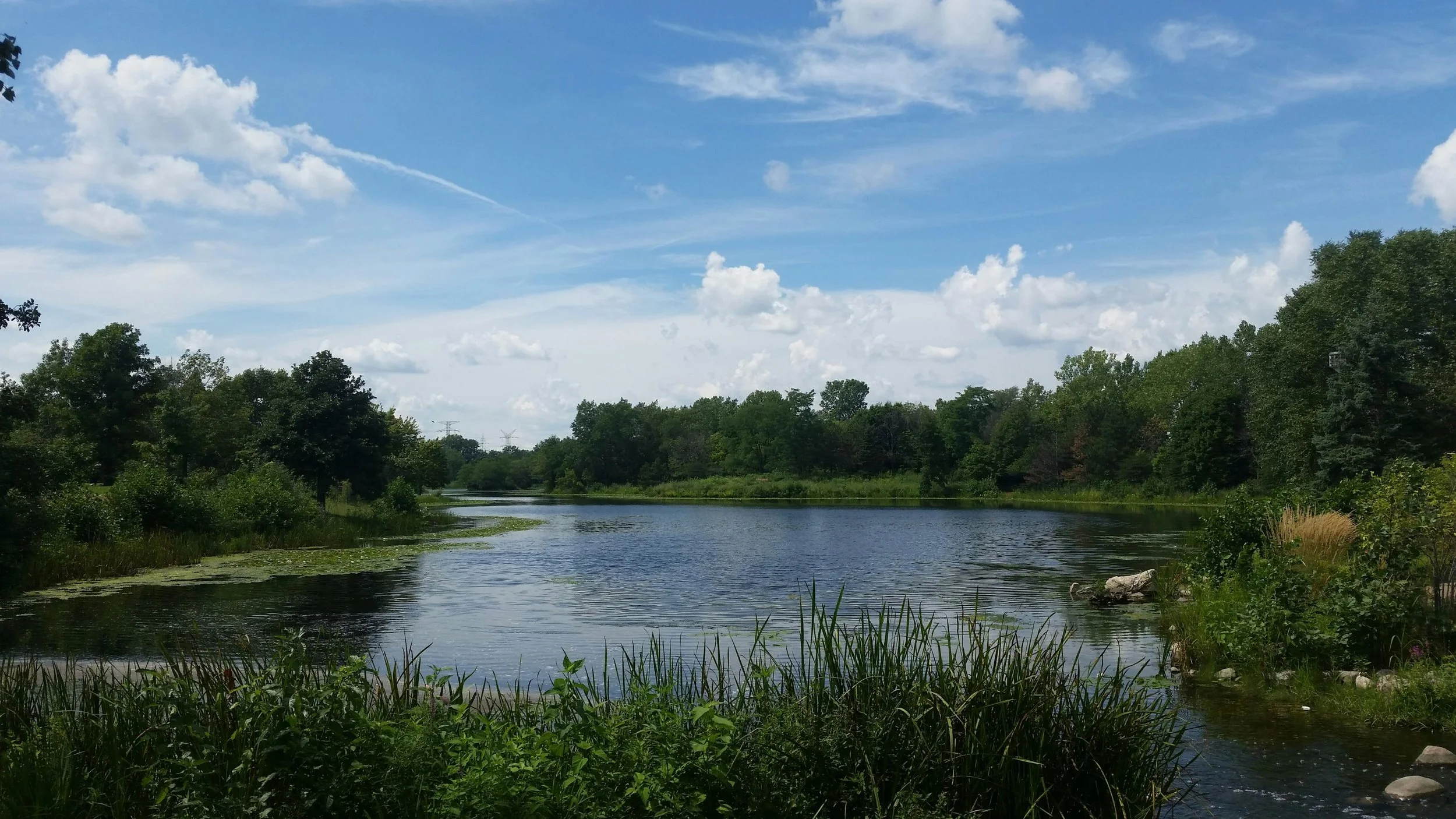 A peaceful river scene with calm water reflecting the blue sky and scattered white clouds, surrounded by lush green trees and vegetation.