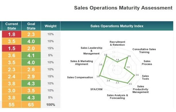 Sales Operations Maturity Assessment - snapshot.jpg