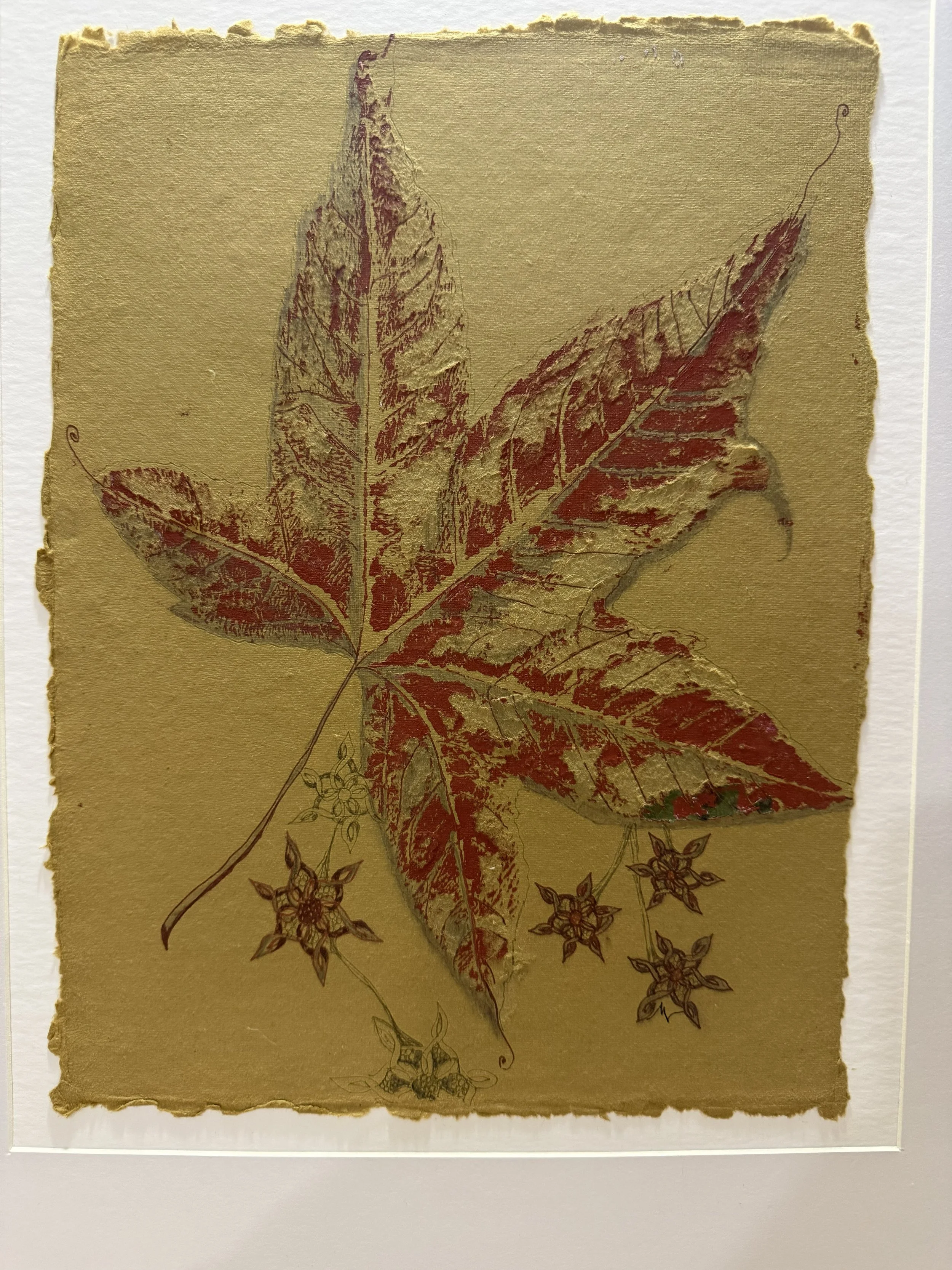 Sweetgum #2