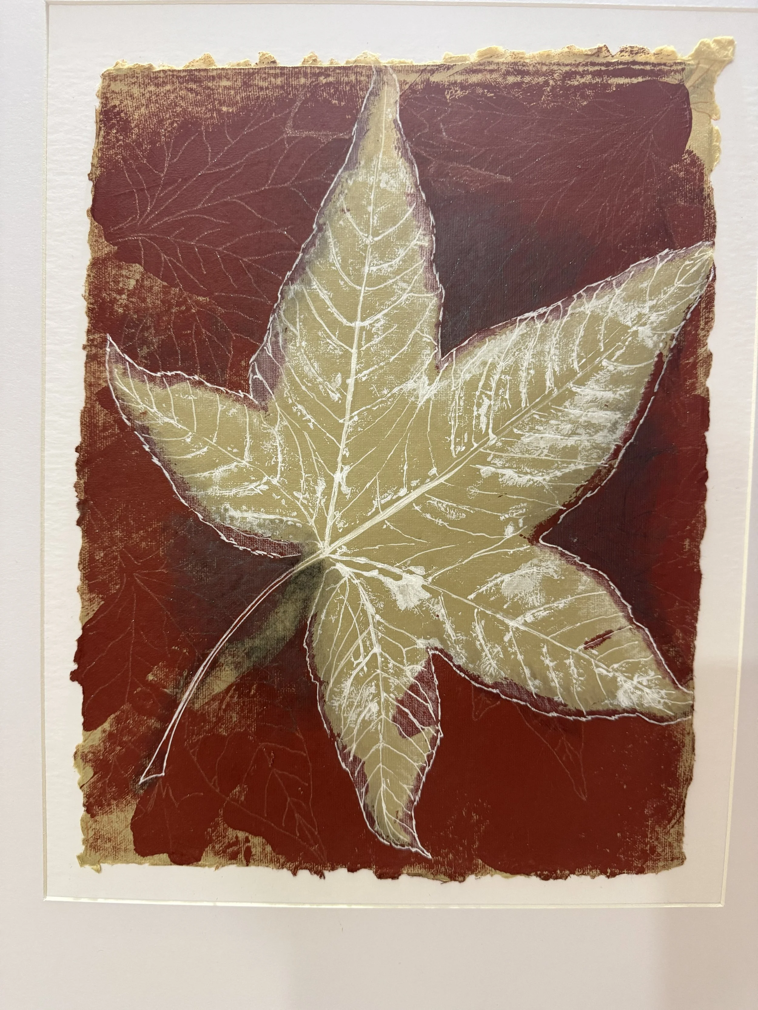 Sweetgum #1