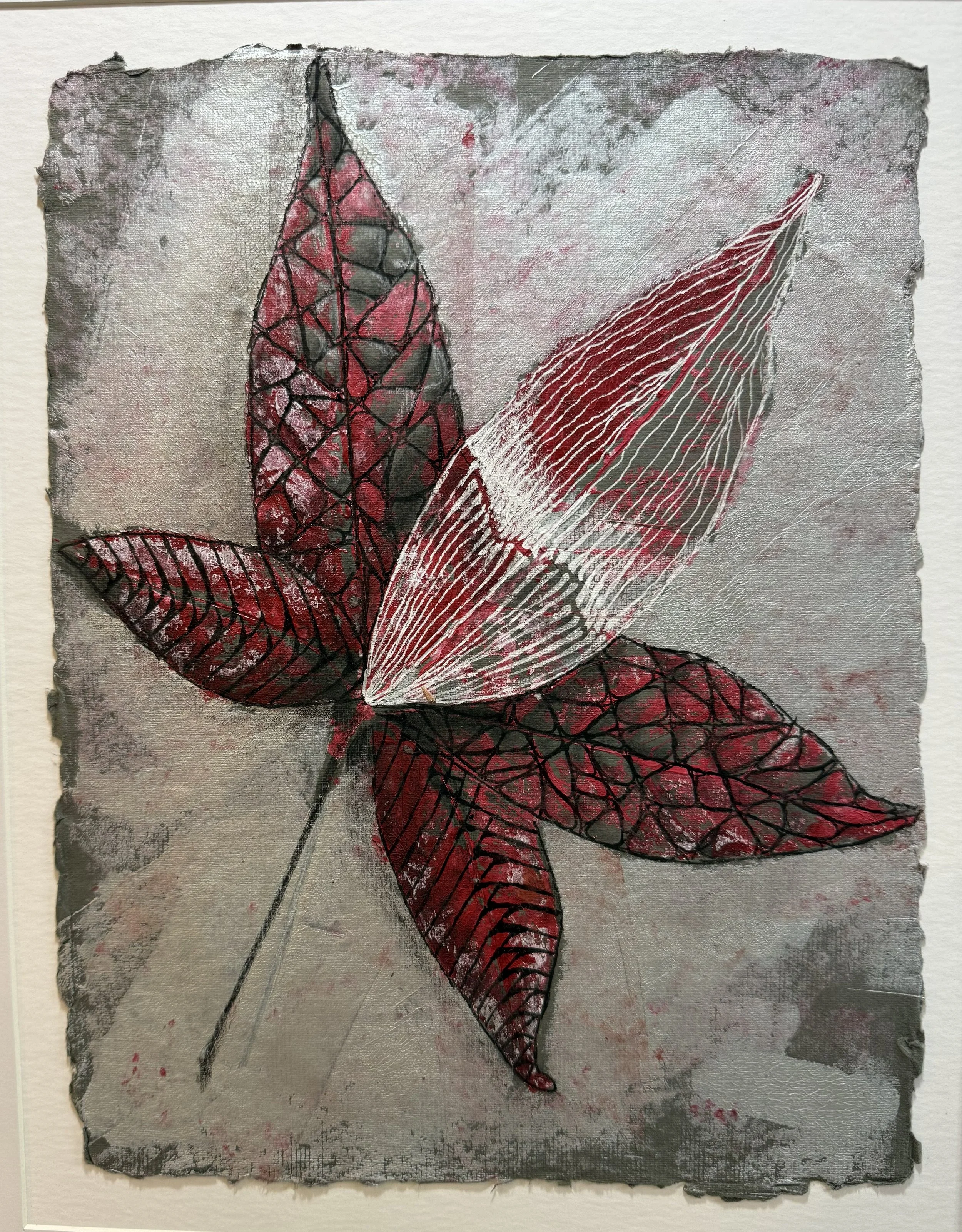 Sweetgum #4