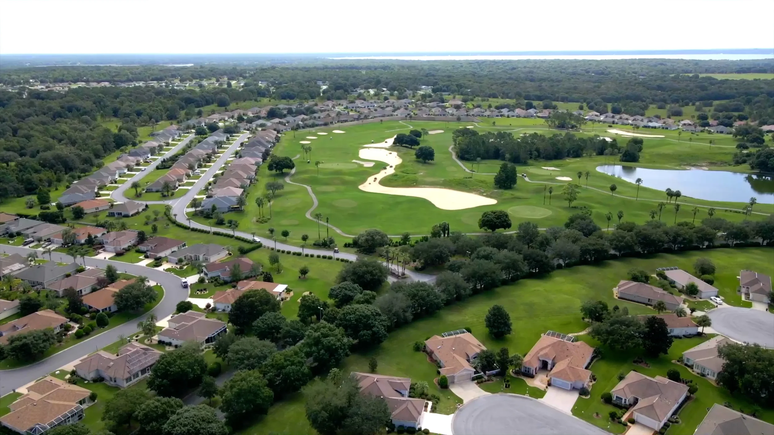 golf 1.webp