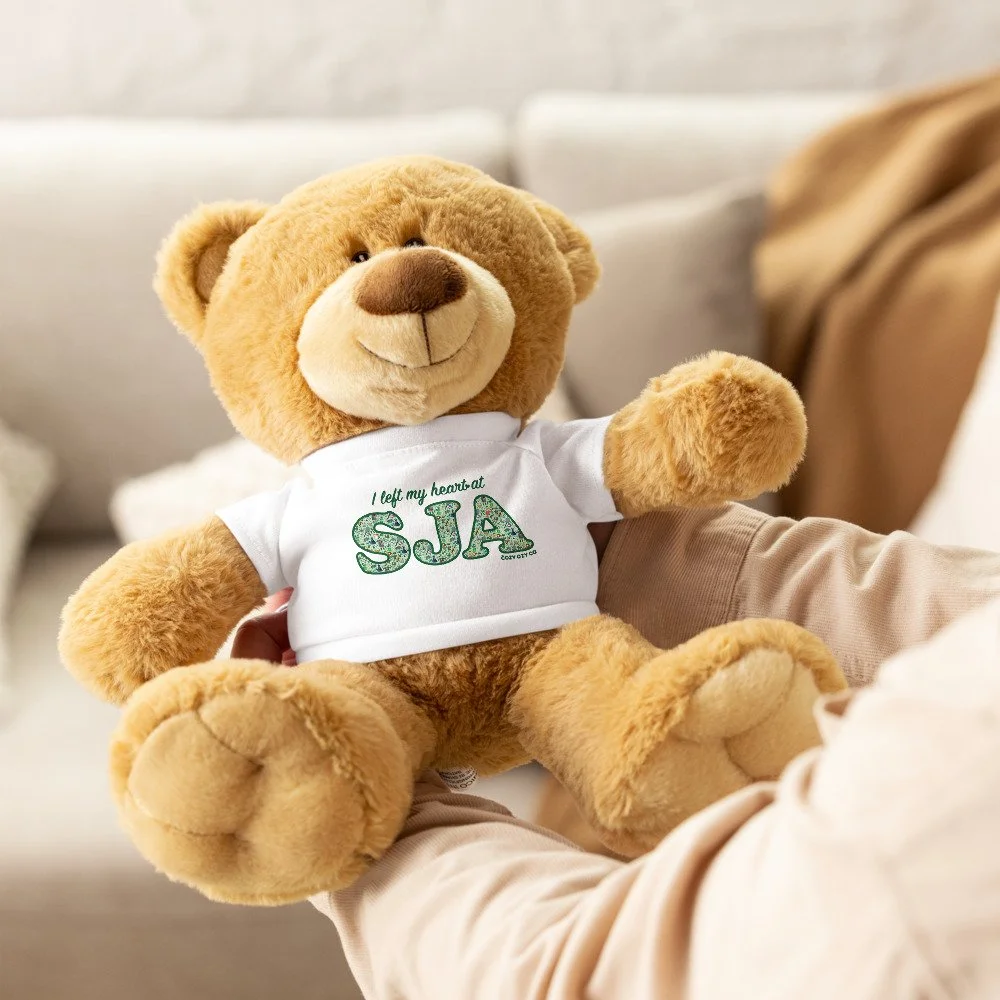 teddy-bear-with-a-t-shirt-white-front-68c9baf1116c5.jpg