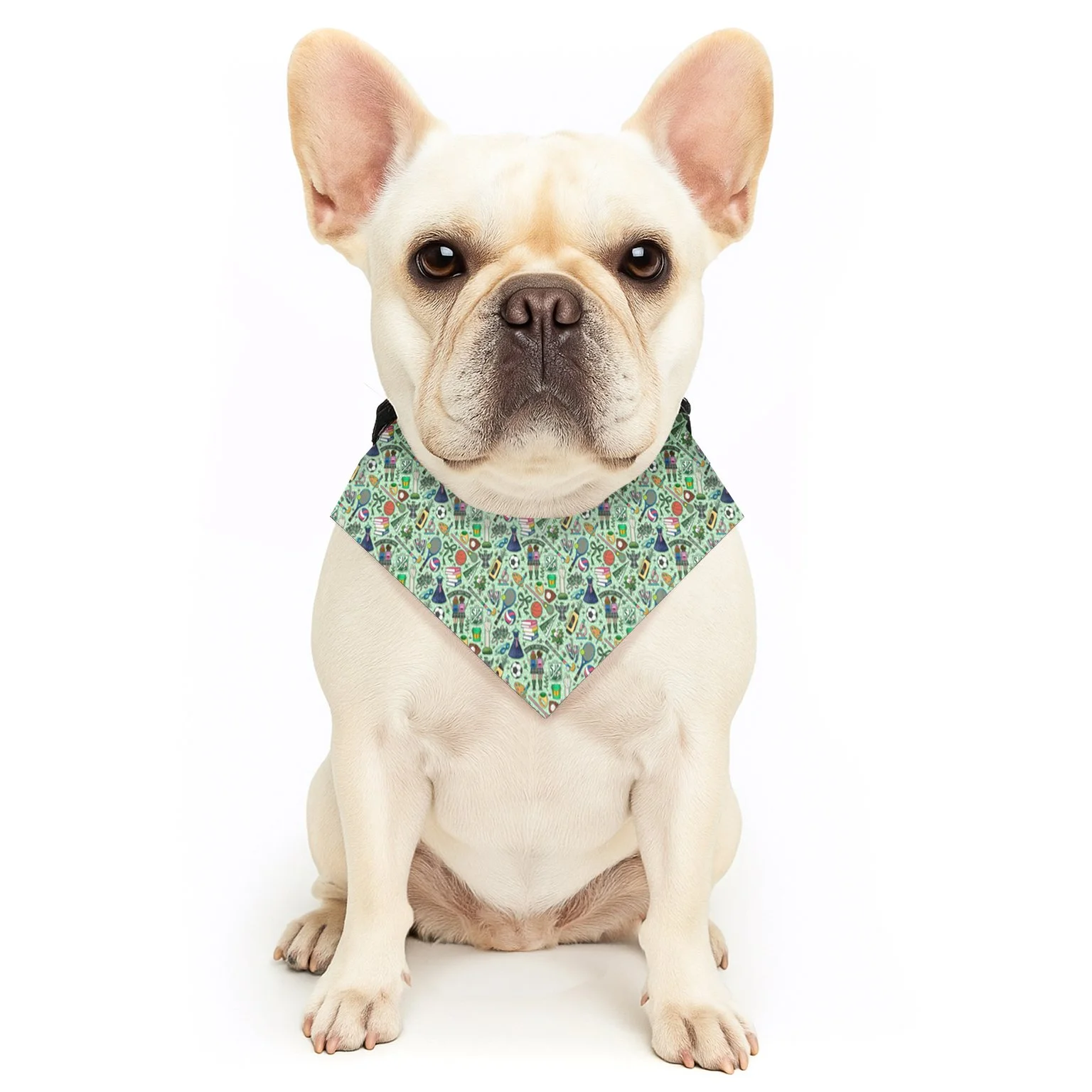 SJA pet bandana collar
