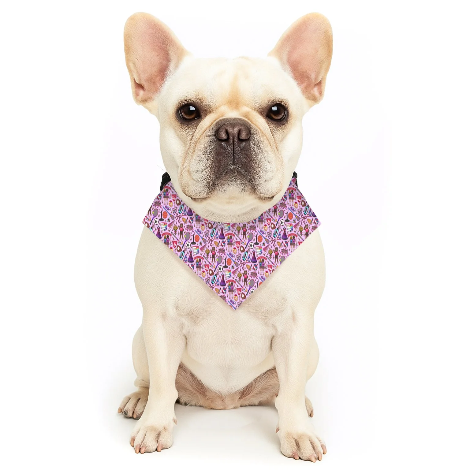 UA pet bandana collar