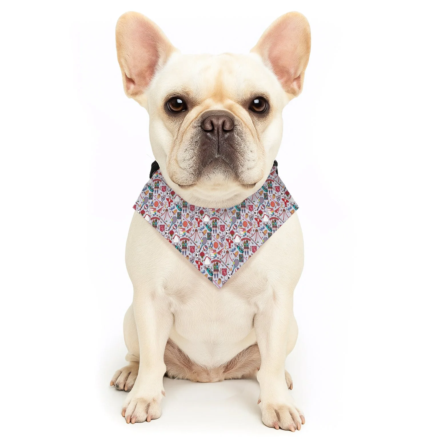VIZ pet bandana collar