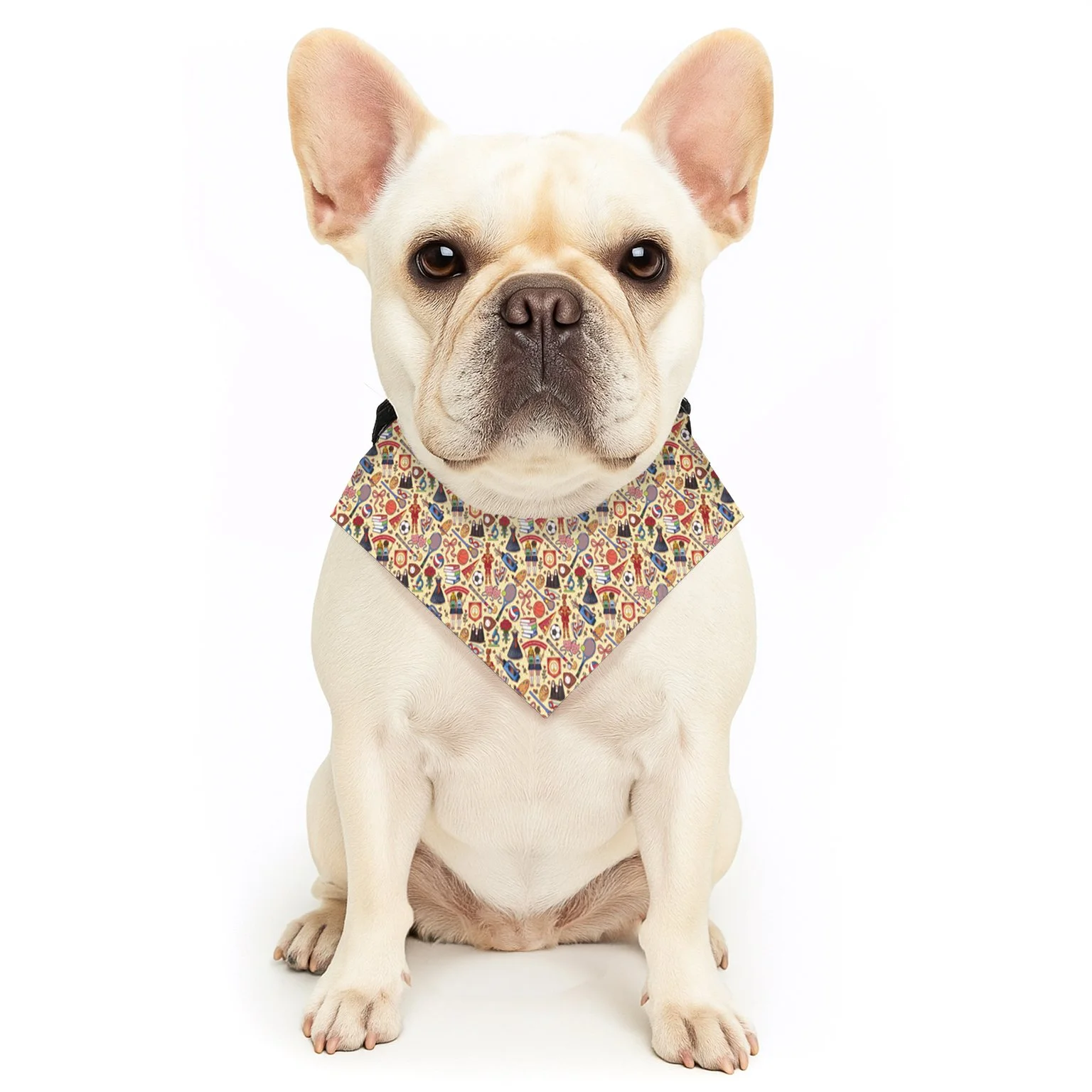 IWA pet bandana collar