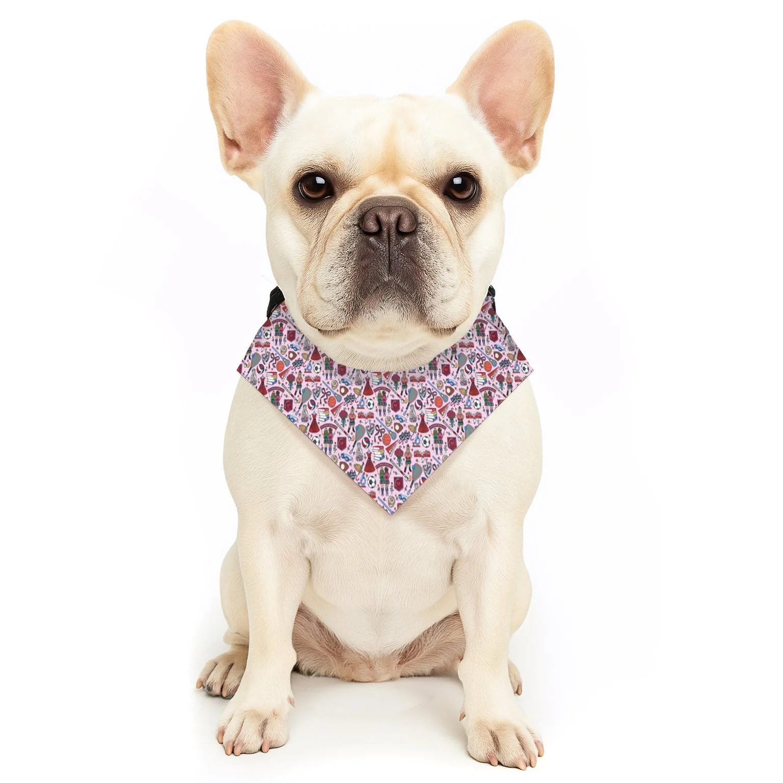 CJA pet bandana collar