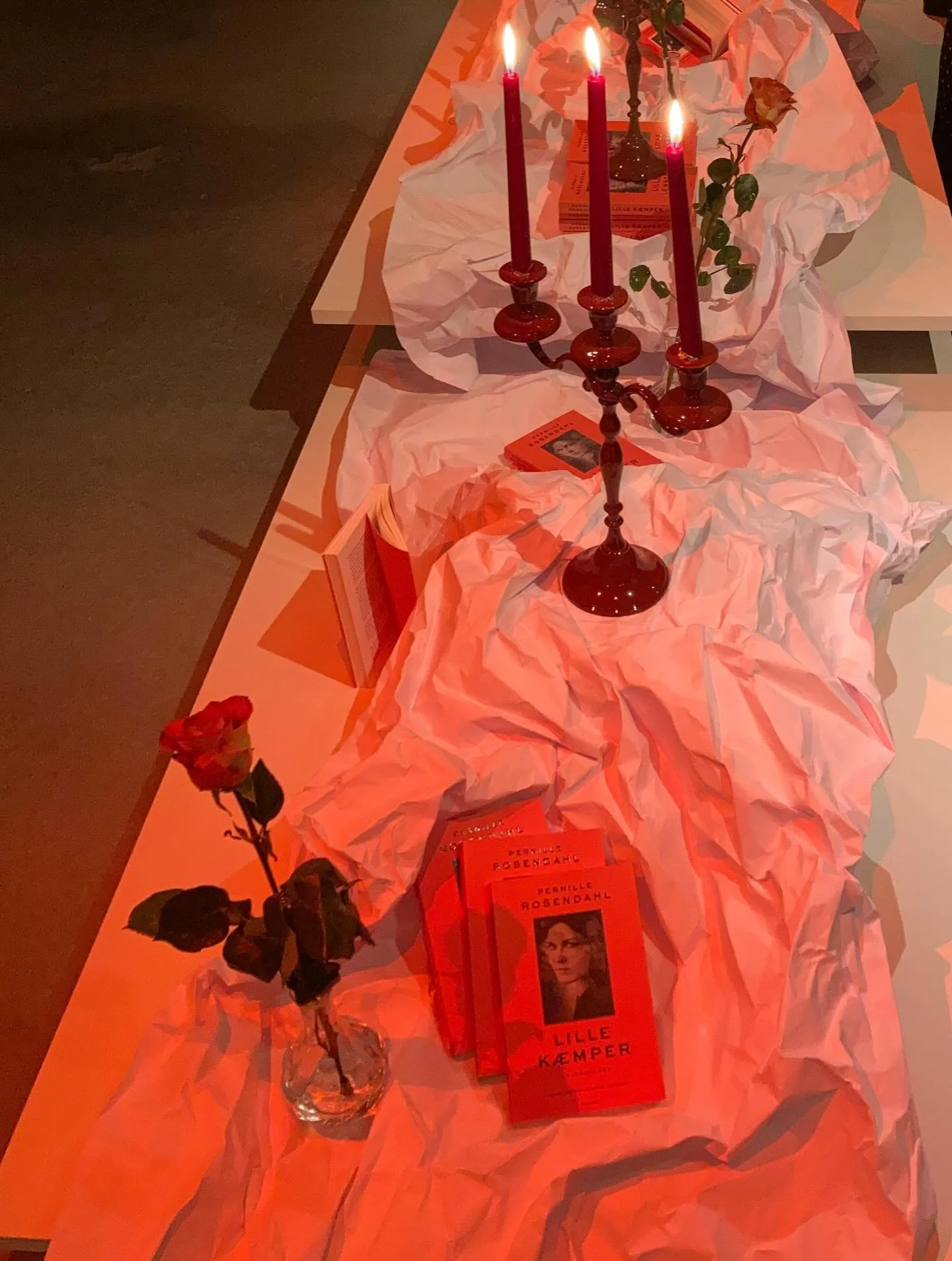 &lsquo;Lille K&aelig;mper&rsquo; har v&aelig;ret ude i en uge nu, og jeg er meget stolt over den modtagelse, bogen har f&aring;et. Weekendavisens anmelder skriver at &ldquo;Sj&aelig;ldent har det givet s&aring; god mening at forbinde biografi og deba