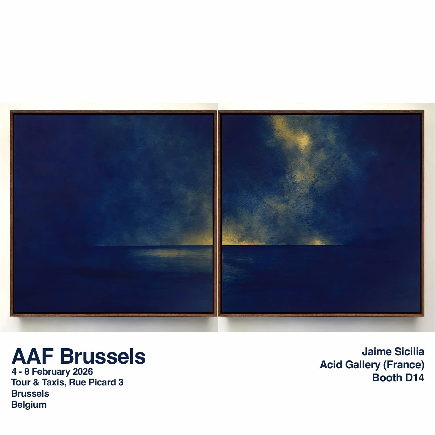 260203-AAF BRUSELAS FLYER 01-WEB.jpg