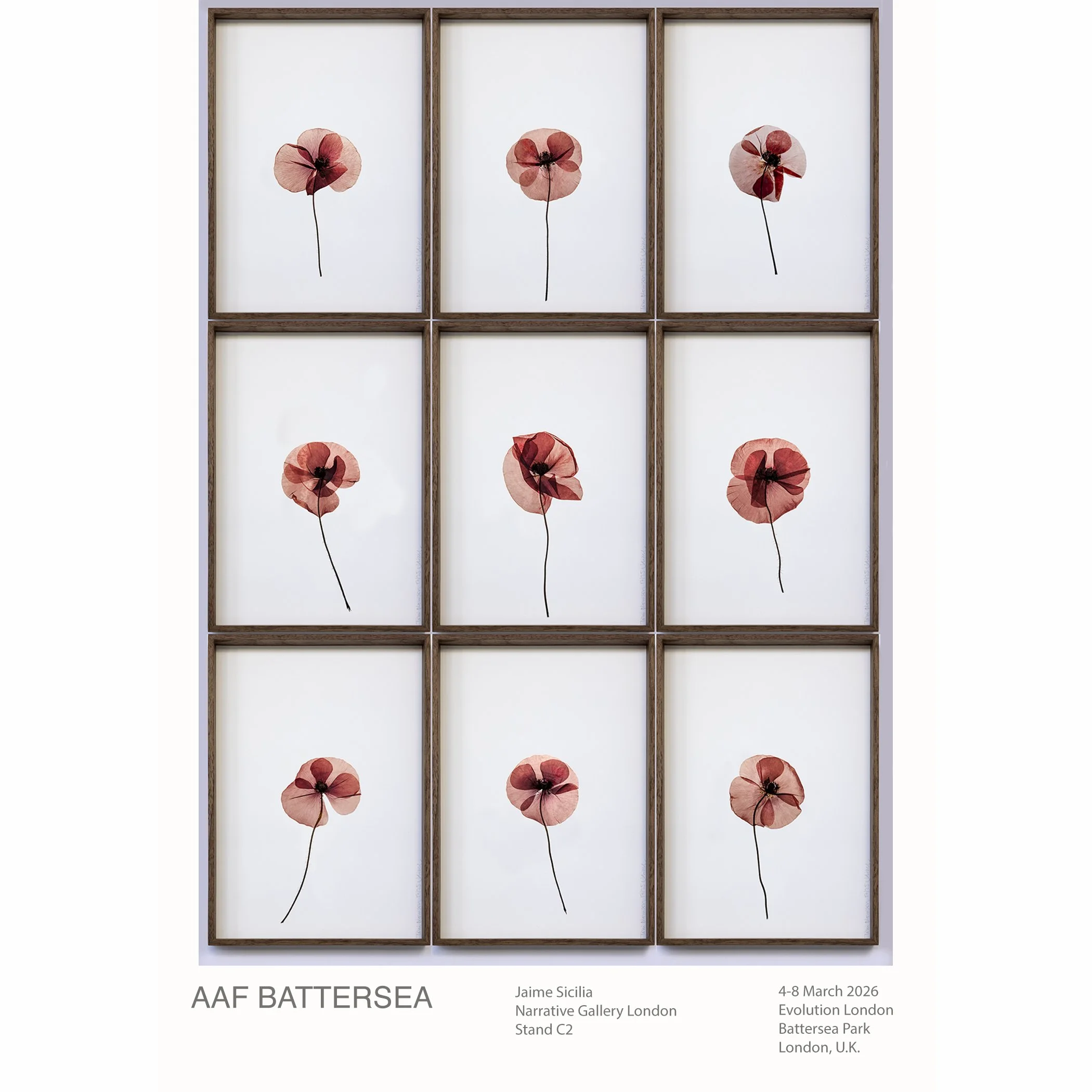 260306-AAF BATTERSEA FLYERS-02 web.jpg