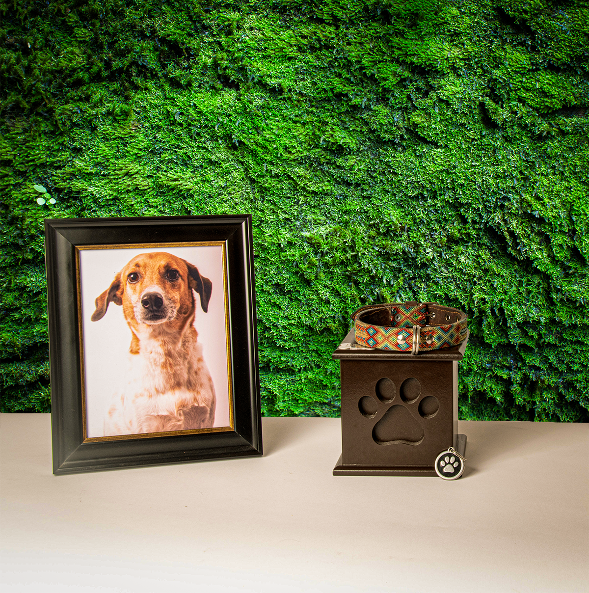 A Funeral For Your Pet? Absolutely!