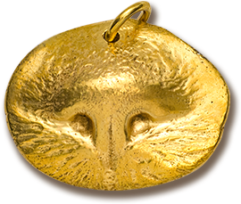 goldpetnose pendant.png